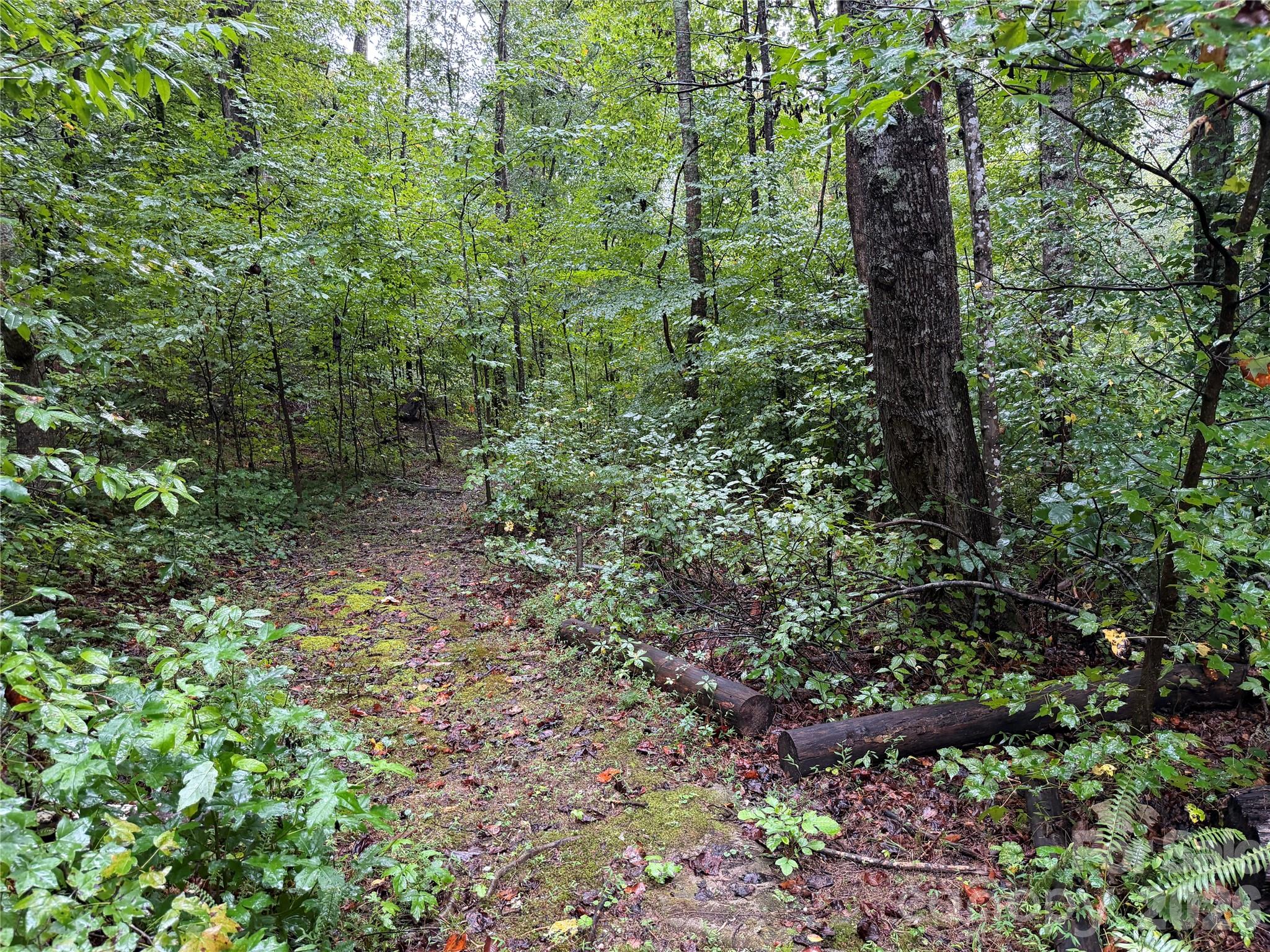 3865 Hickory Highway Property Photo 5
