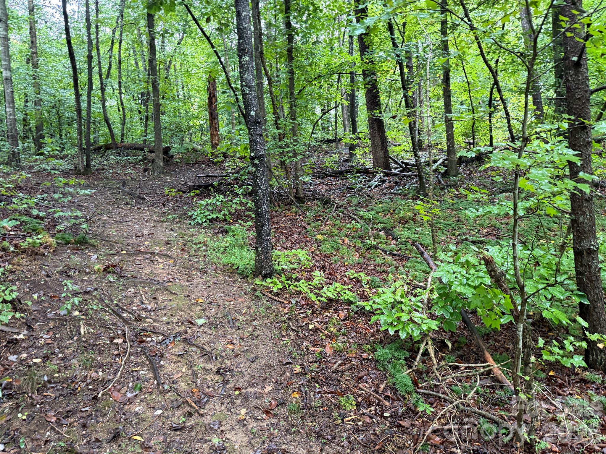 3865 Hickory Highway Property Photo 6