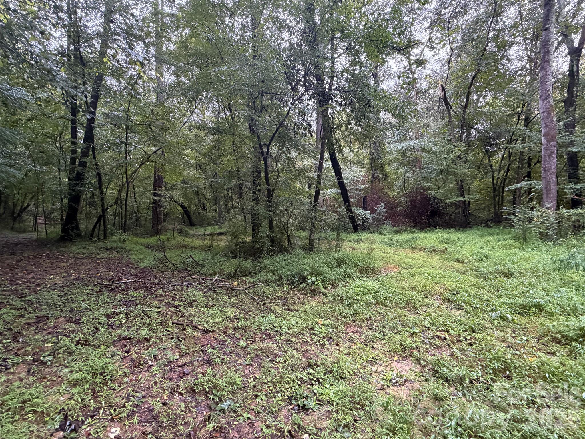 3865 Hickory Highway Property Photo 8