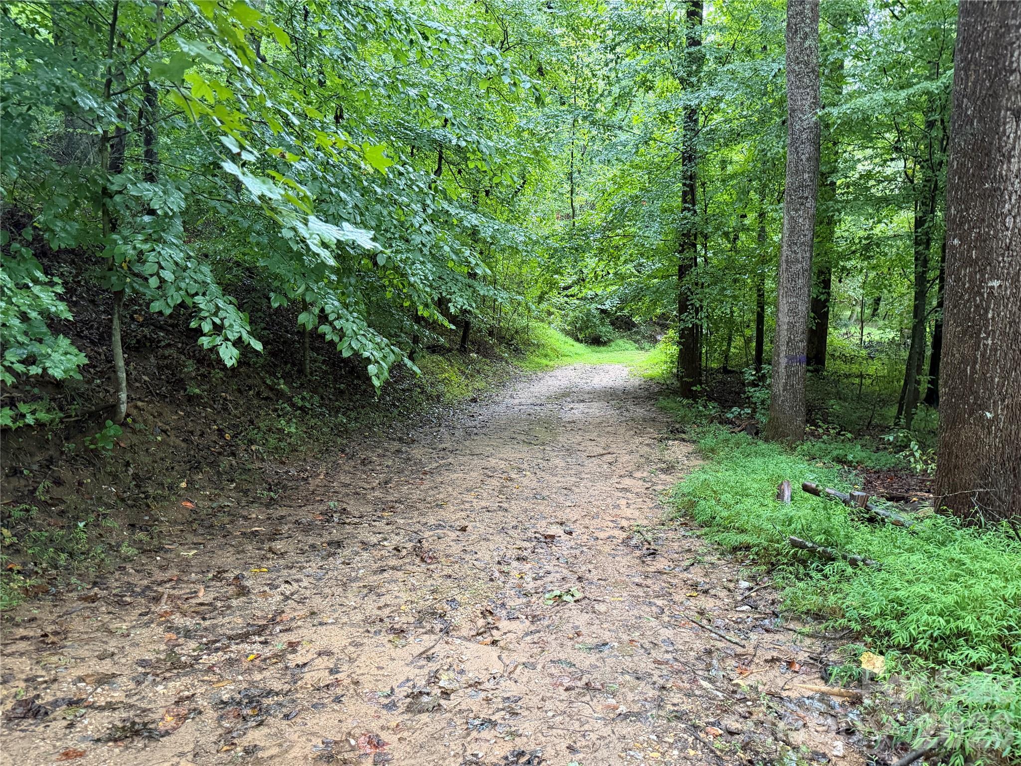 3865 Hickory Highway Property Photo 10