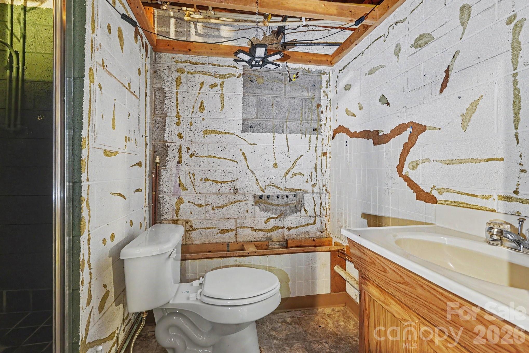 226 Pleasant Hill Drive Property Photo 29