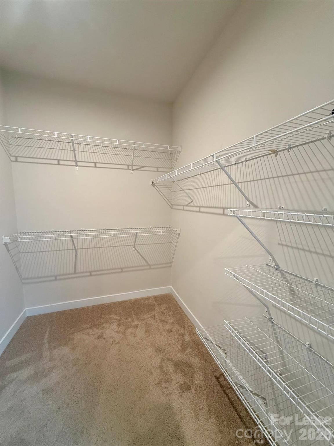 928 Portrush Lane Property Photo 9