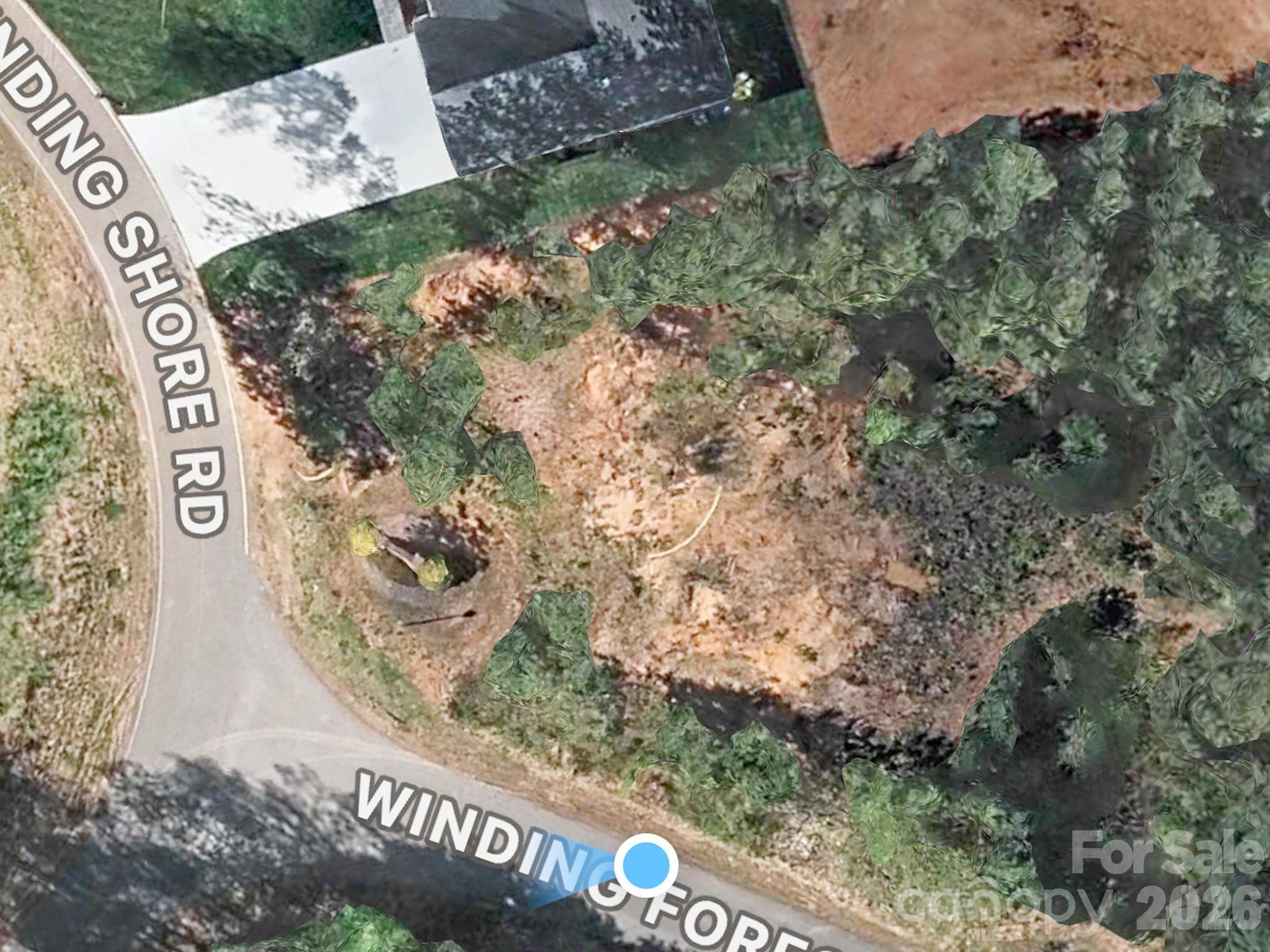 00 Winding Forest Drive Property Photo 2