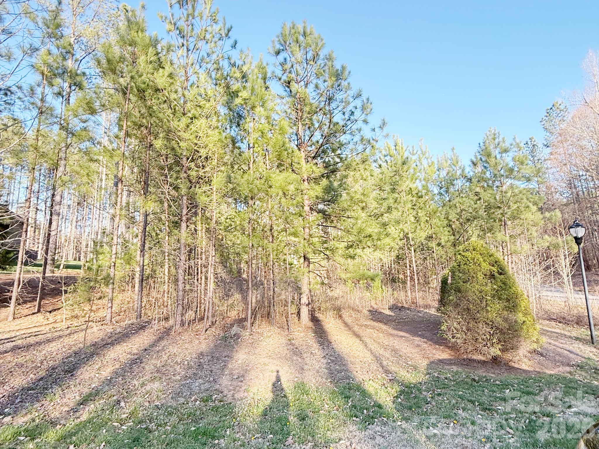 00 Winding Forest Drive Property Photo 4
