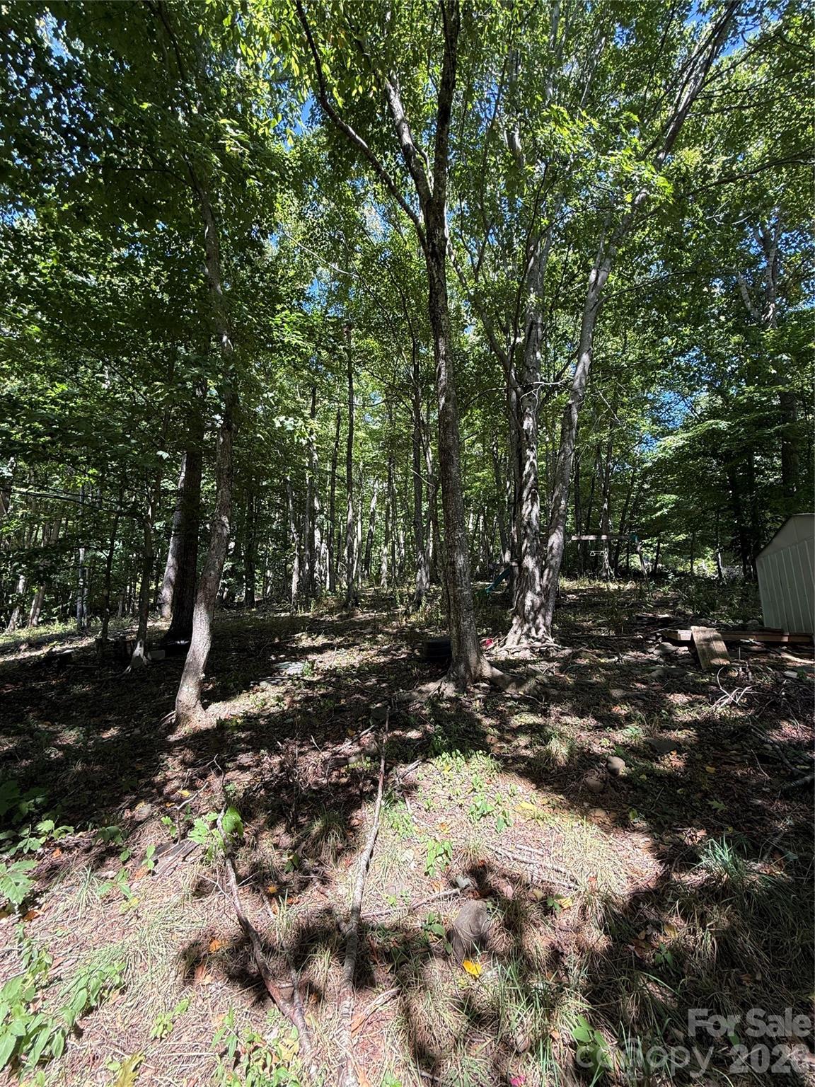 111 Three Top Street Property Photo 7