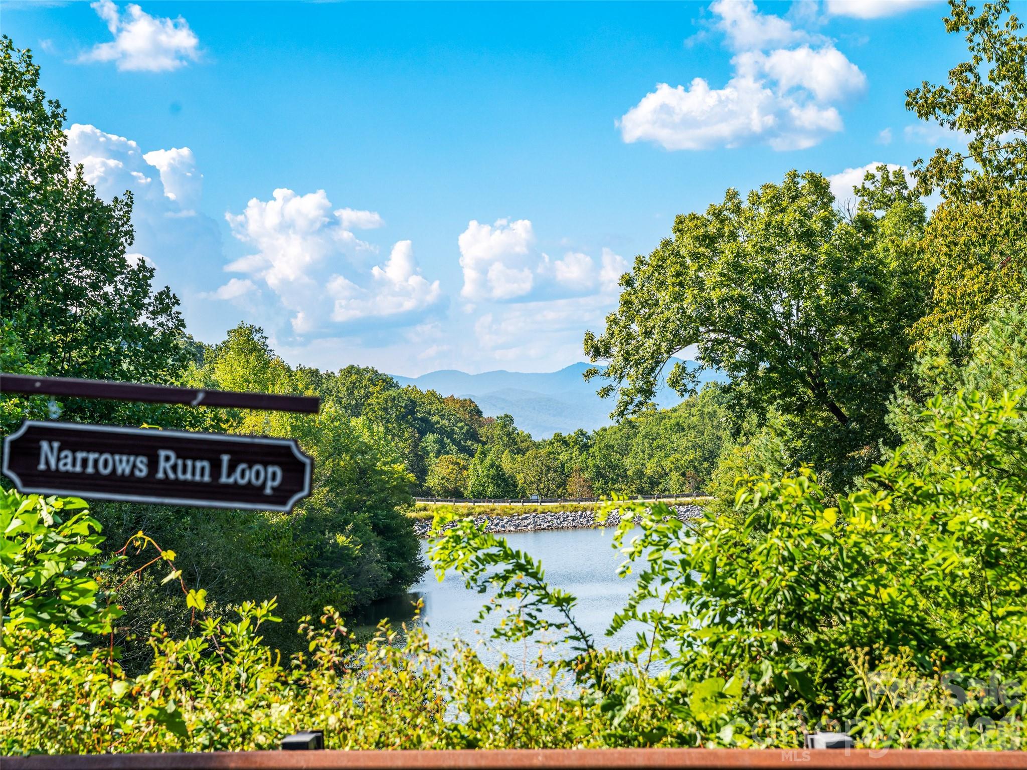158 Narrows Run Loop Property Photo 42