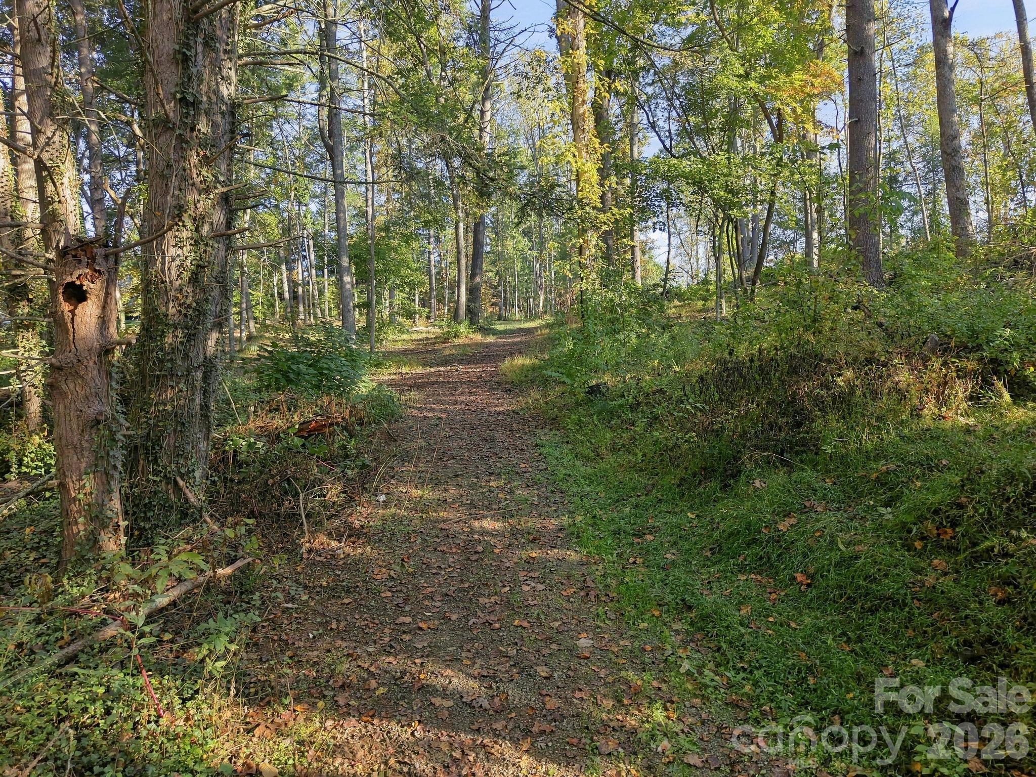 99999 Cane Creek Road Property Photo 1
