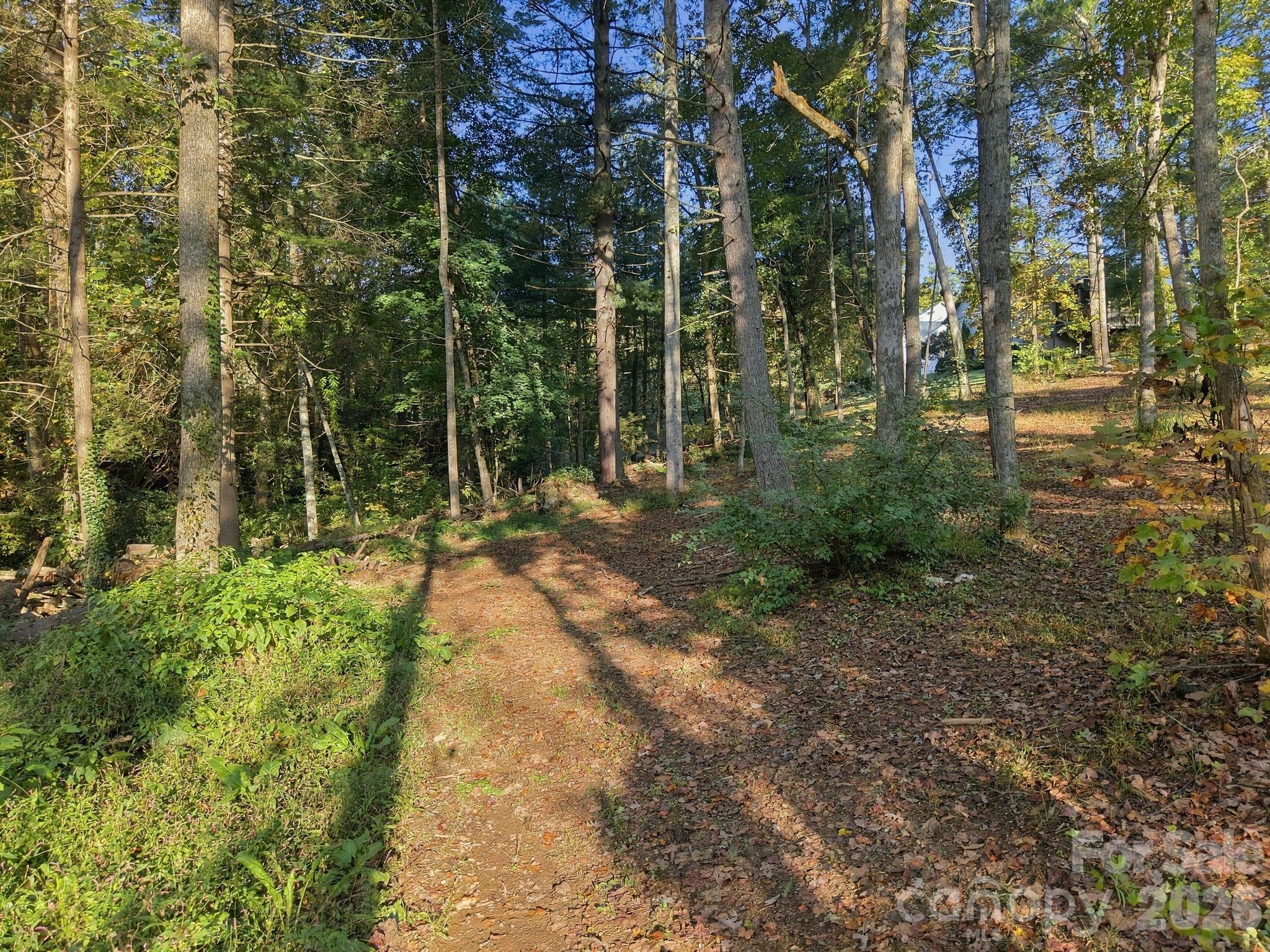 99999 Cane Creek Road Property Photo 2
