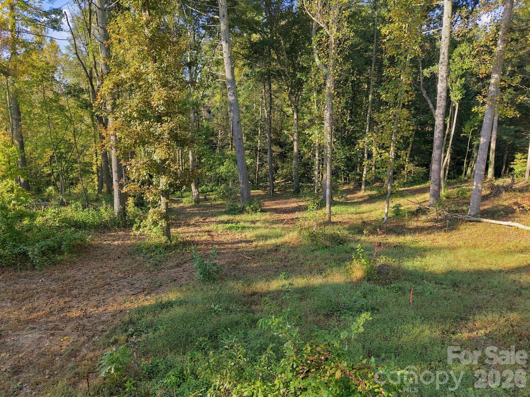 99999 Cane Creek Road Property Photo 3