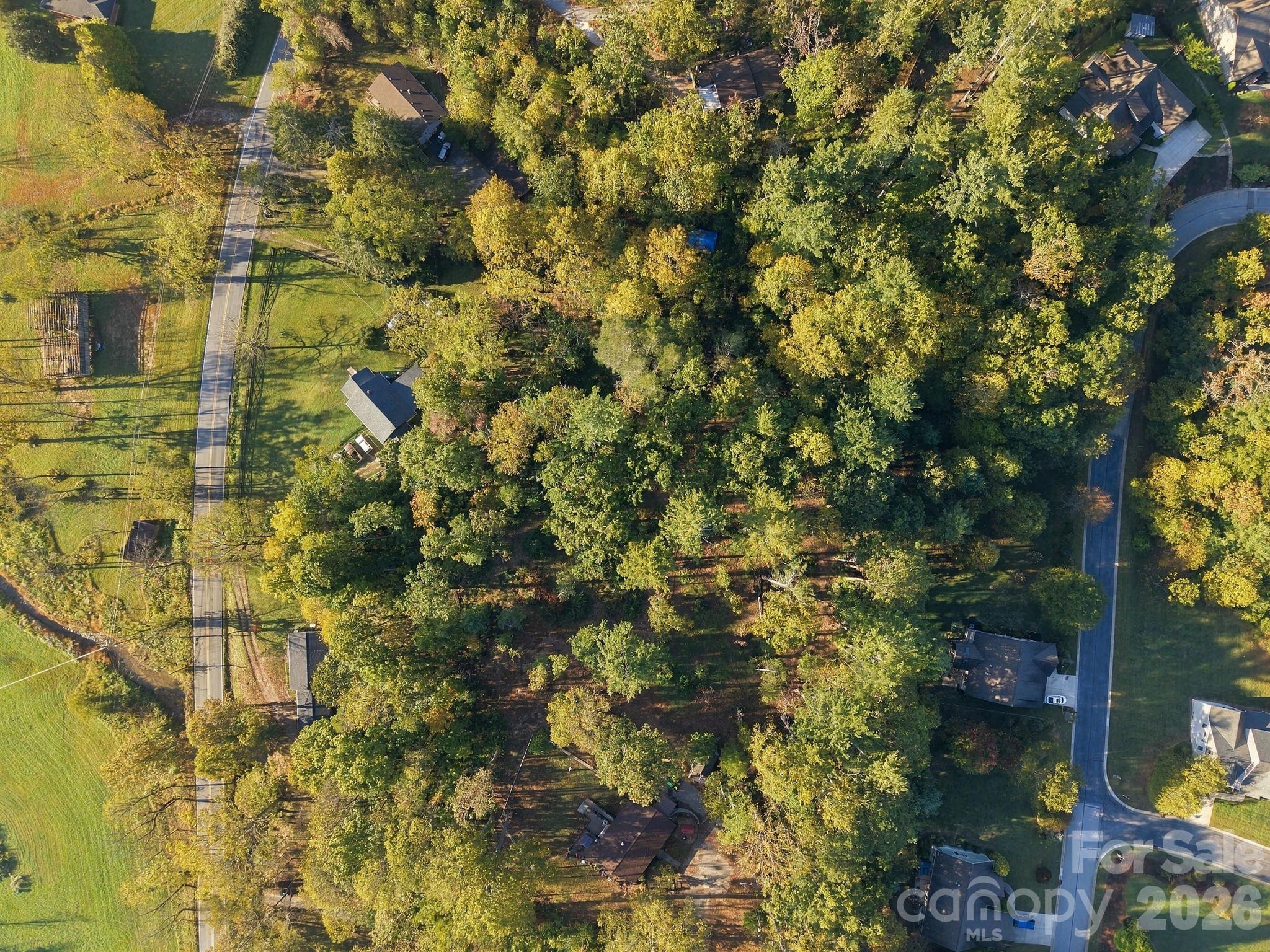 99999 Cane Creek Road Property Photo 4