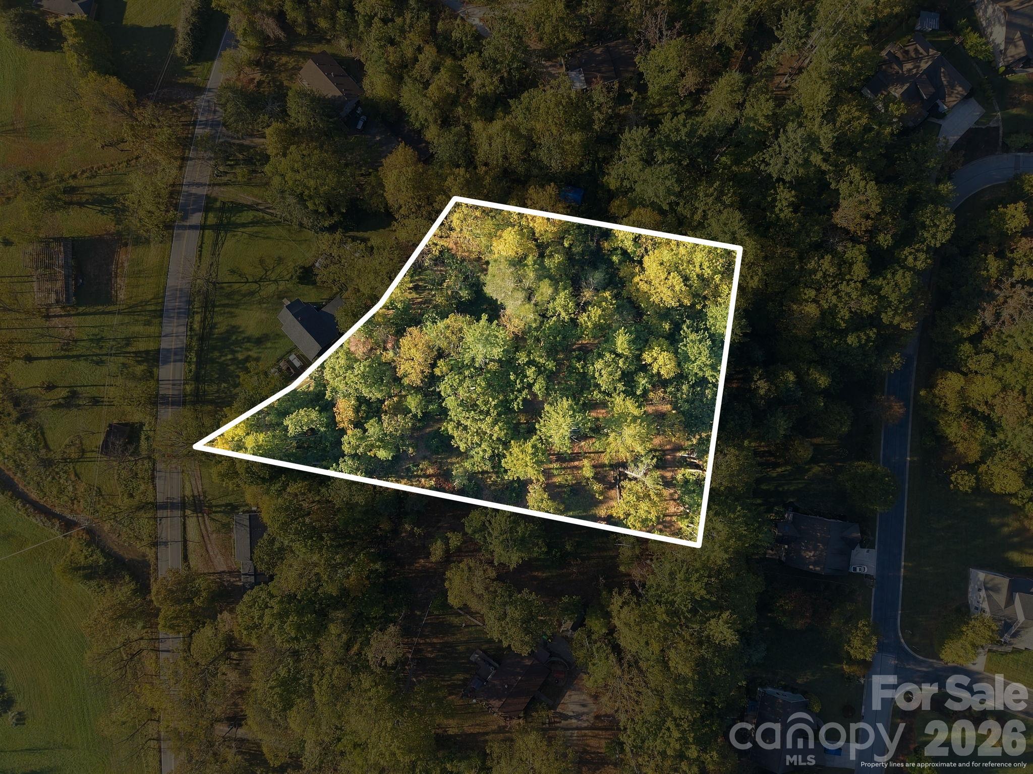 99999 Cane Creek Road Property Photo 5