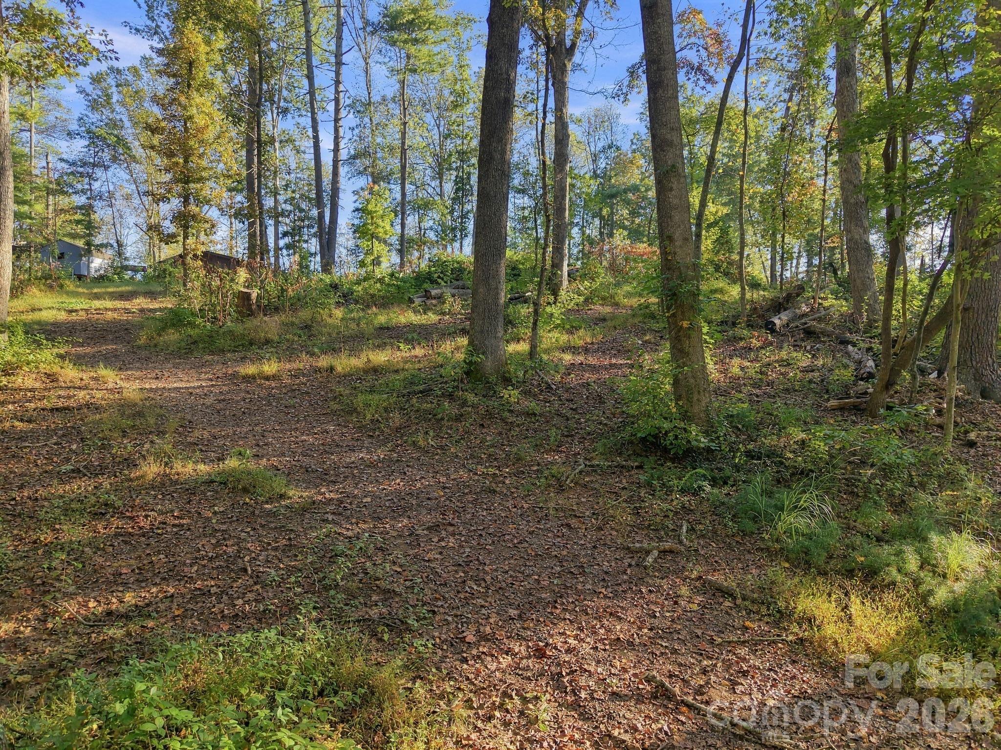 99999 Cane Creek Road Property Photo 7