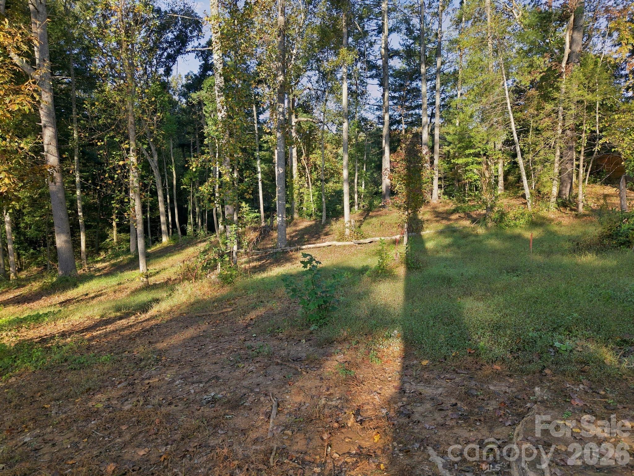 99999 Cane Creek Road Property Photo 10