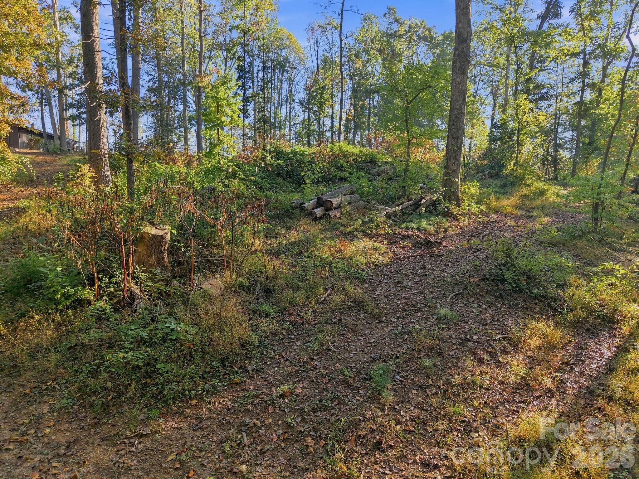 99999 Cane Creek Road Property Photo 11