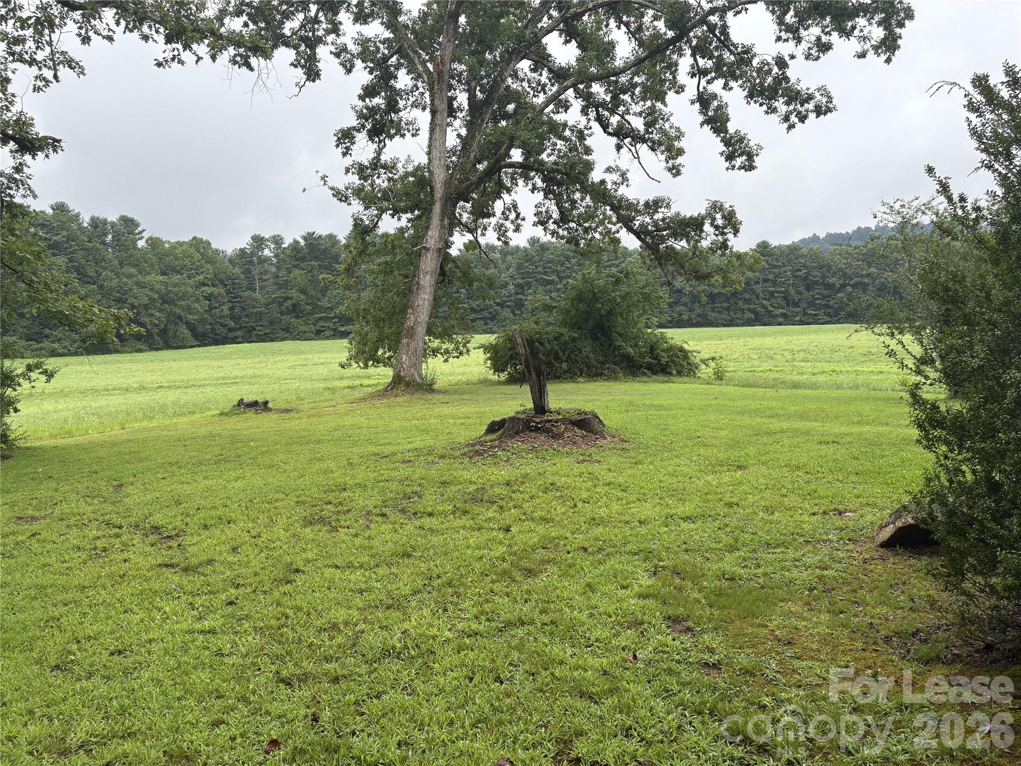 14 E Boxwood Loop Property Photo 3