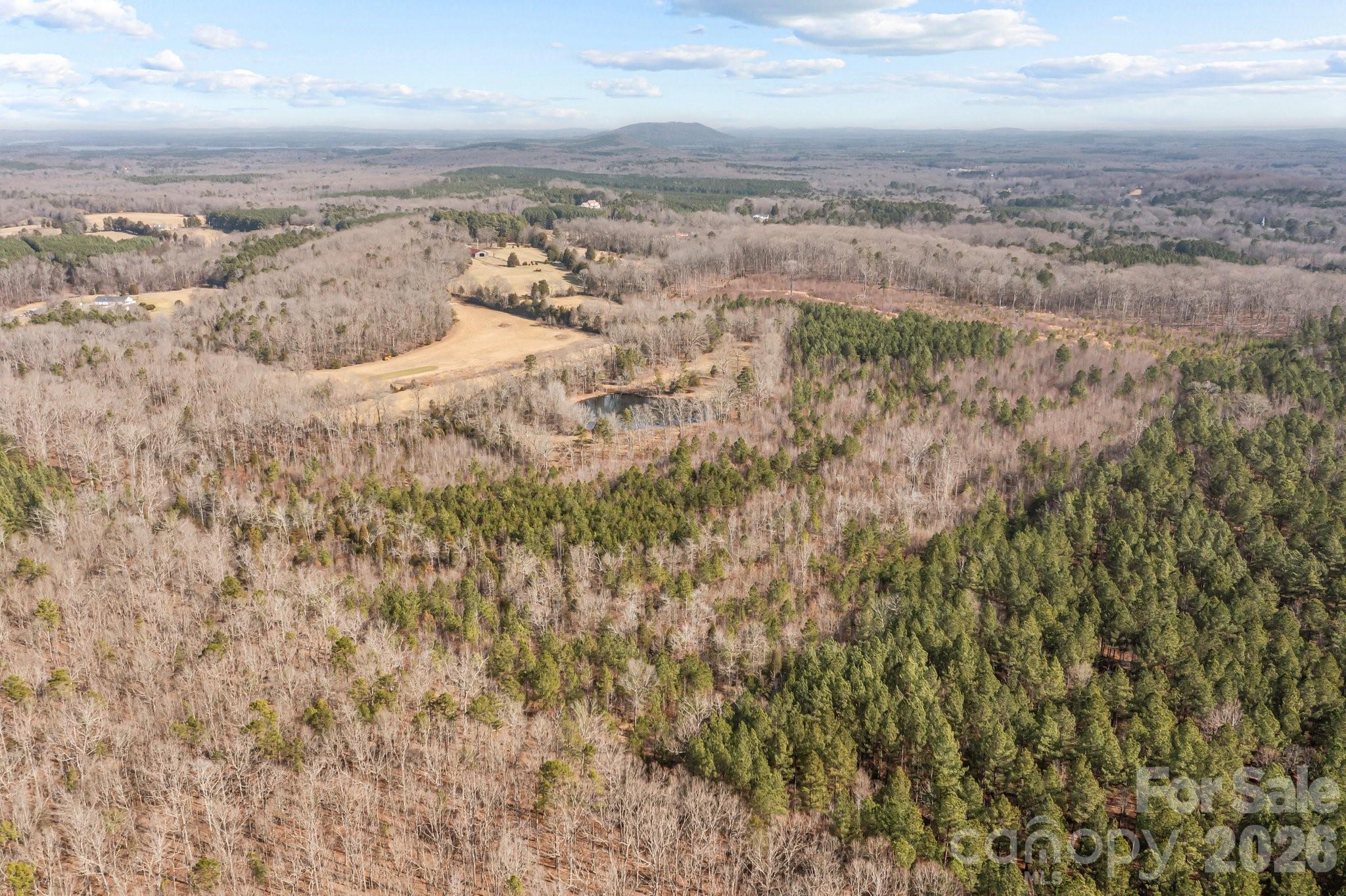 11745 Stokes Ferry Road Property Photo 5