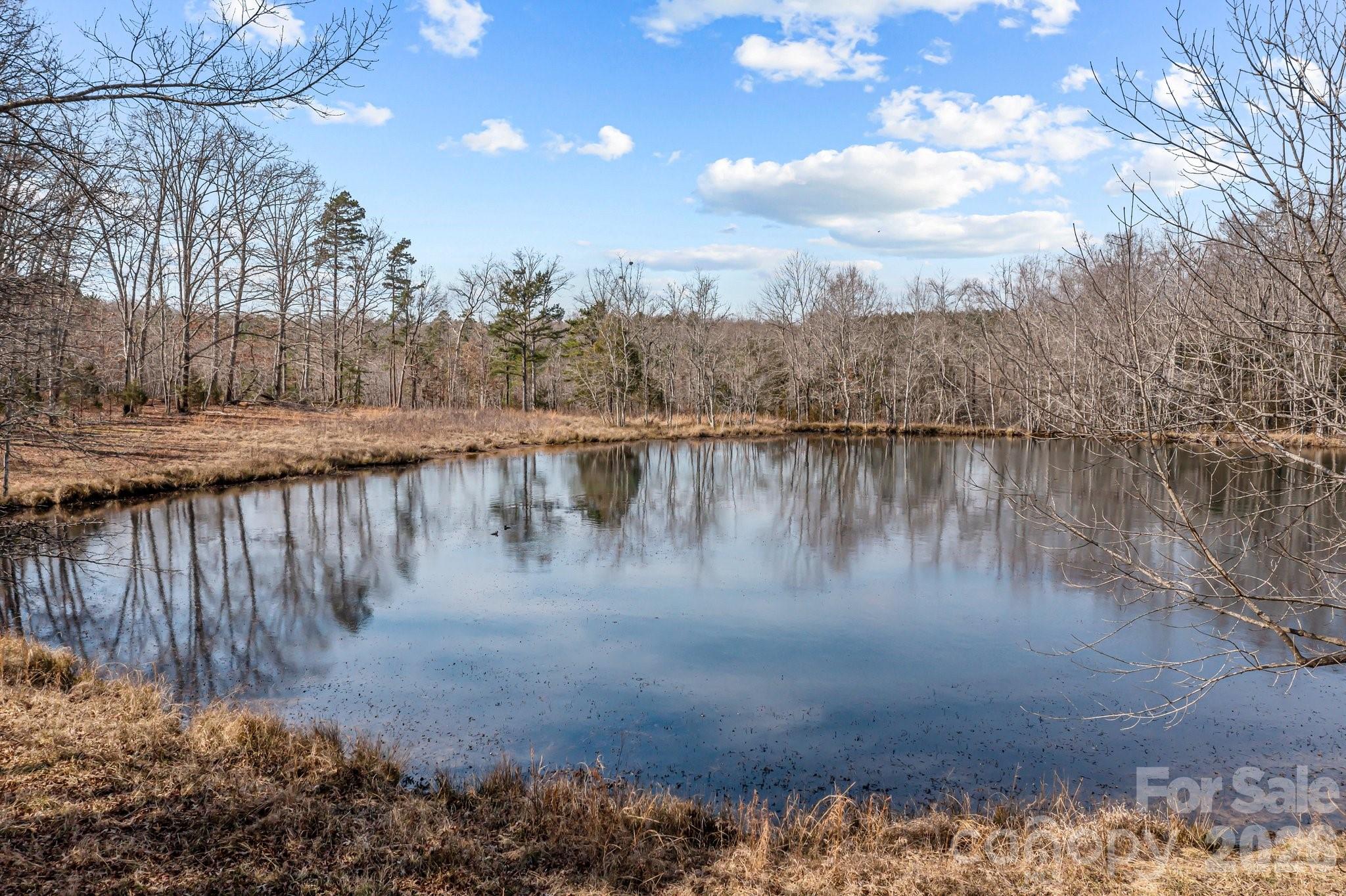 11745 Stokes Ferry Road Property Photo 6