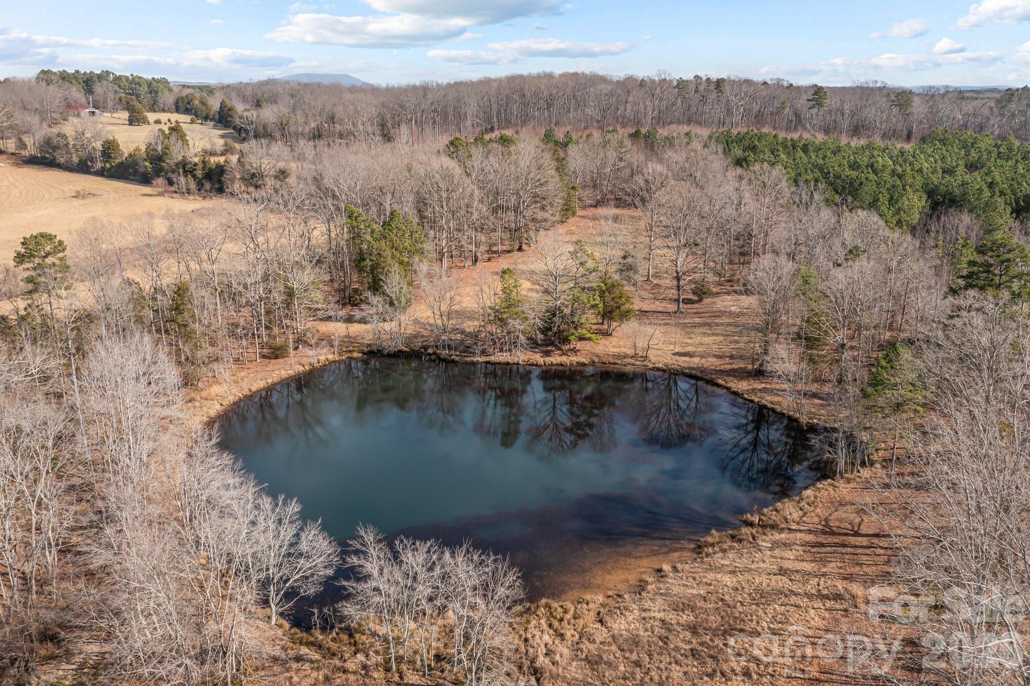11745 Stokes Ferry Road Property Photo 7