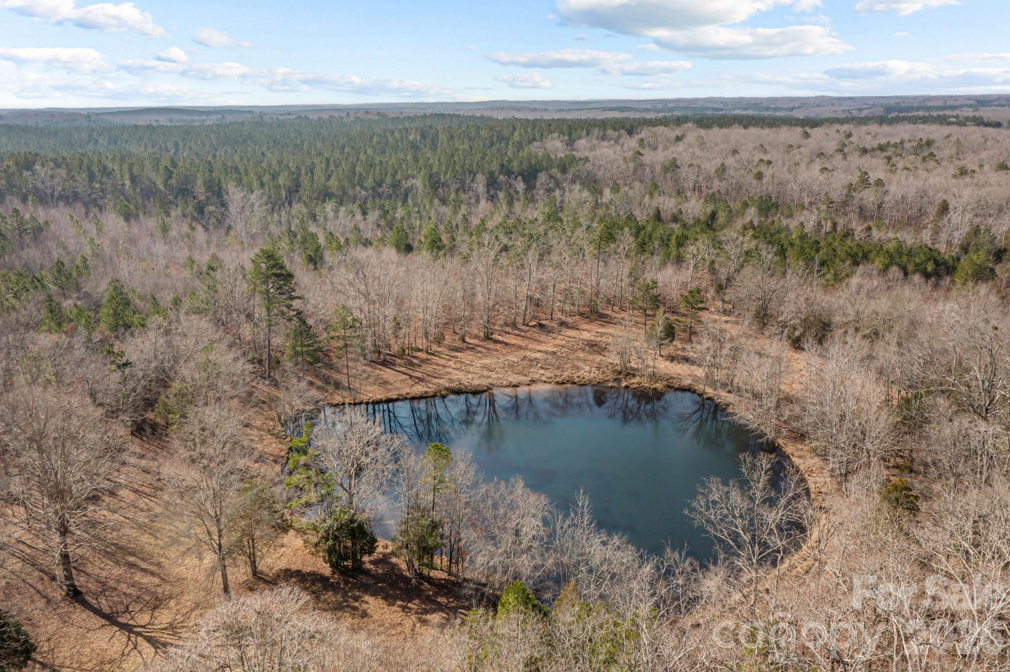 11745 Stokes Ferry Road Property Photo 9