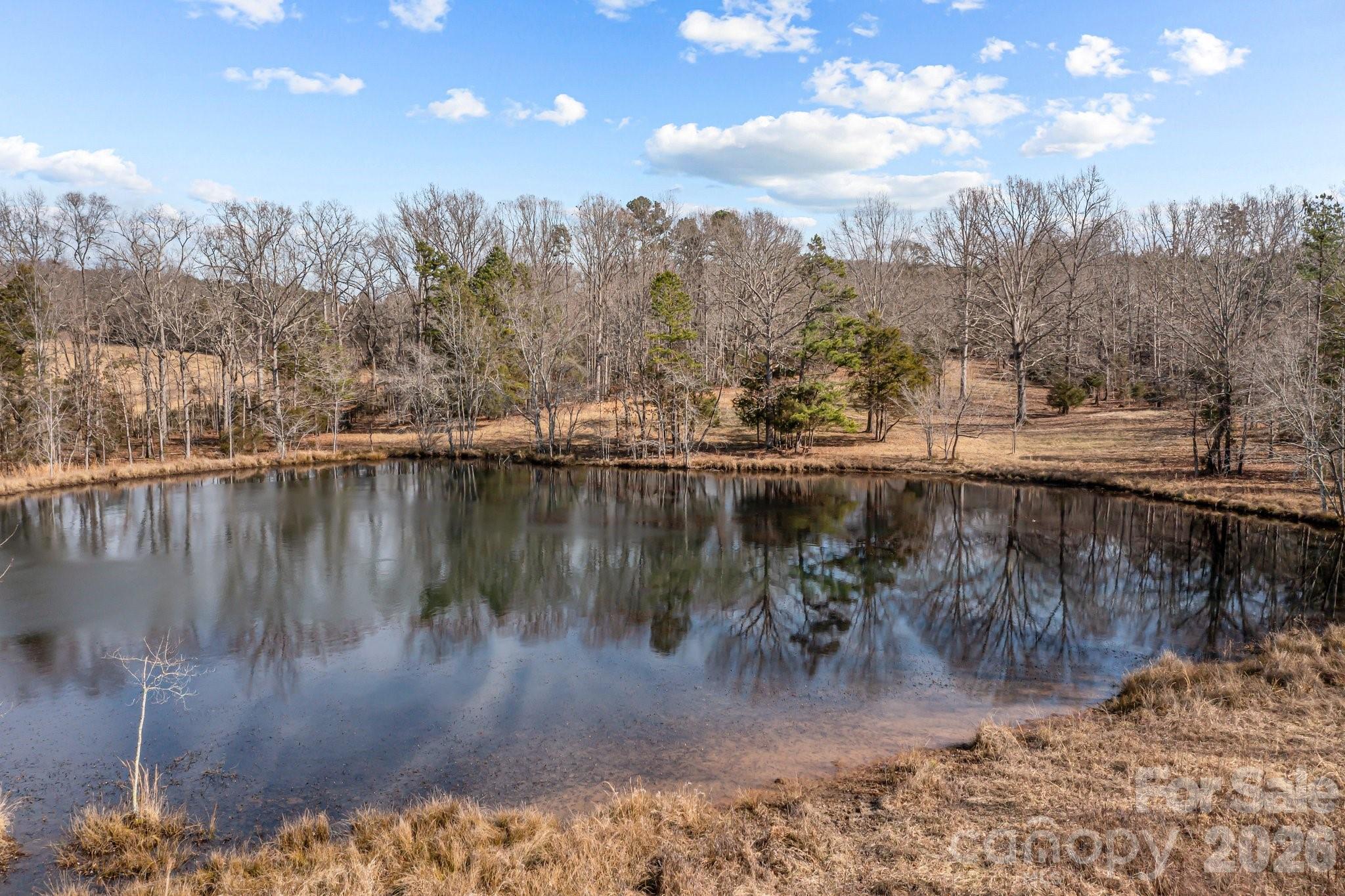 11745 Stokes Ferry Road Property Photo 10