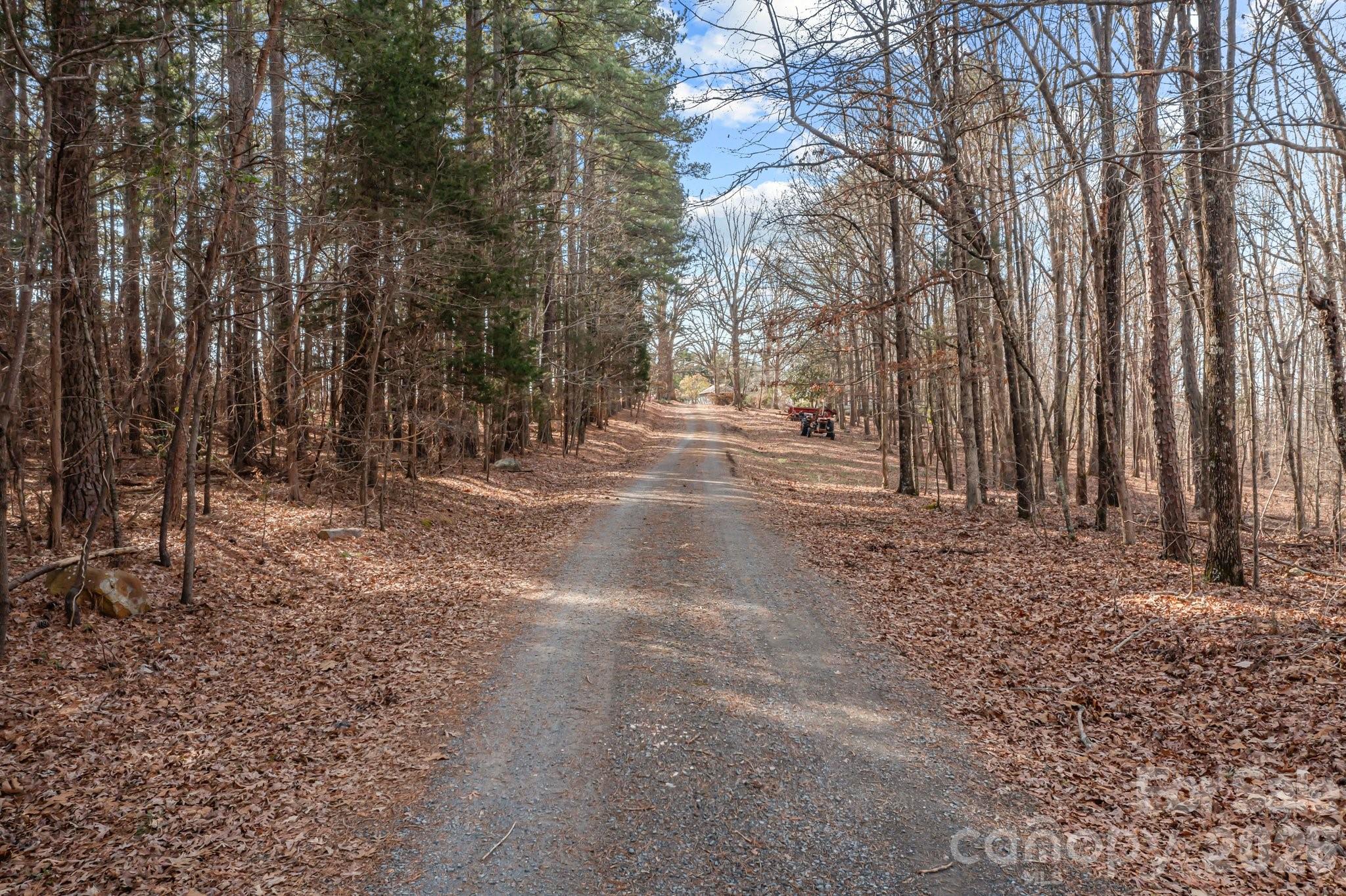 11745 Stokes Ferry Road Property Photo 20