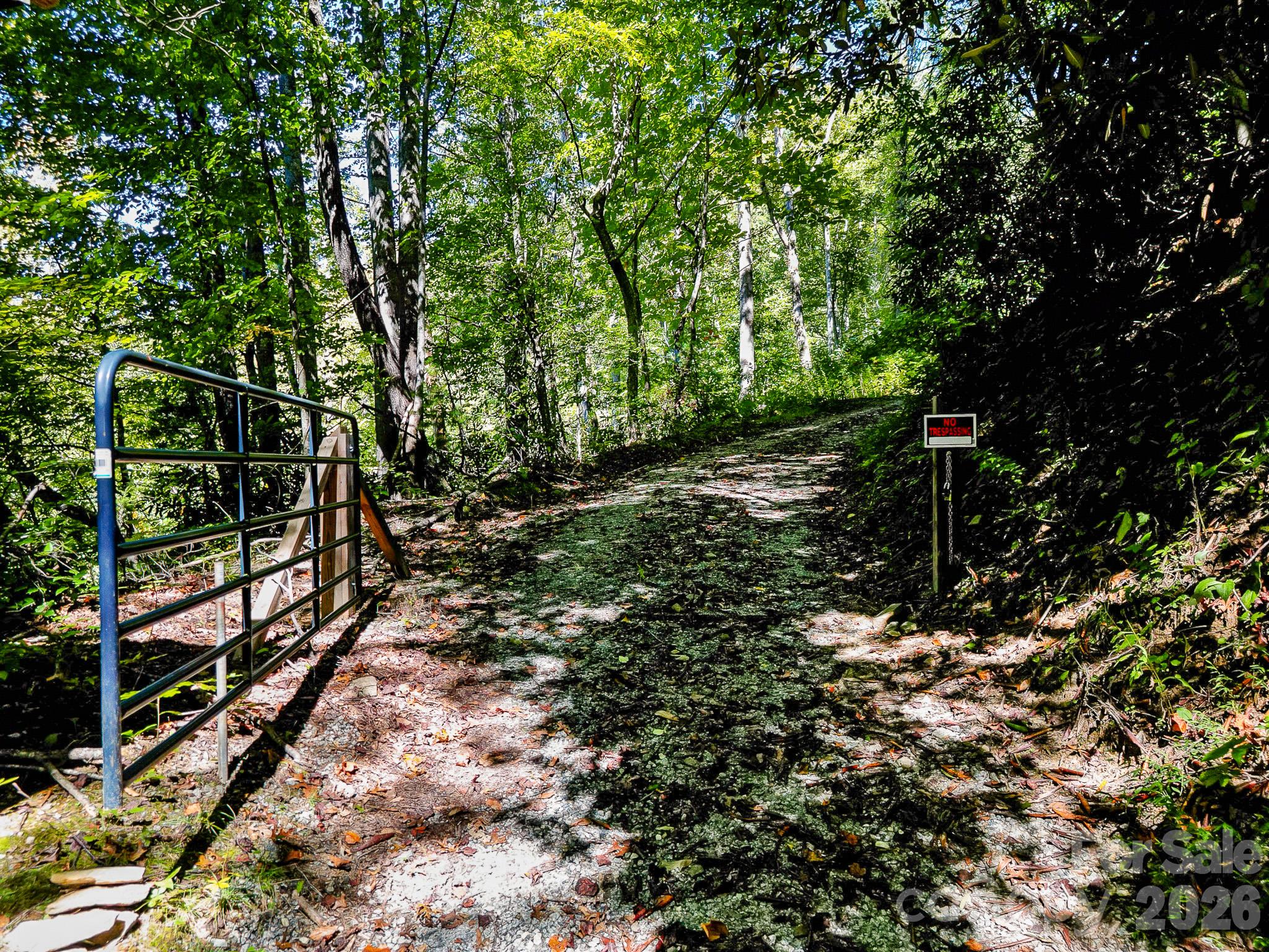 172 Rocky Top Ridge Drive Property Photo 3