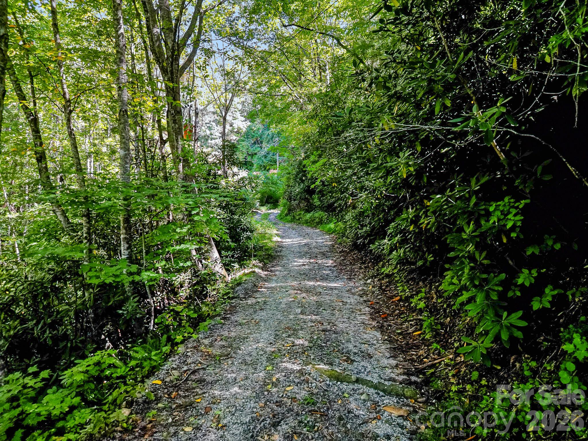 172 Rocky Top Ridge Drive Property Photo 7