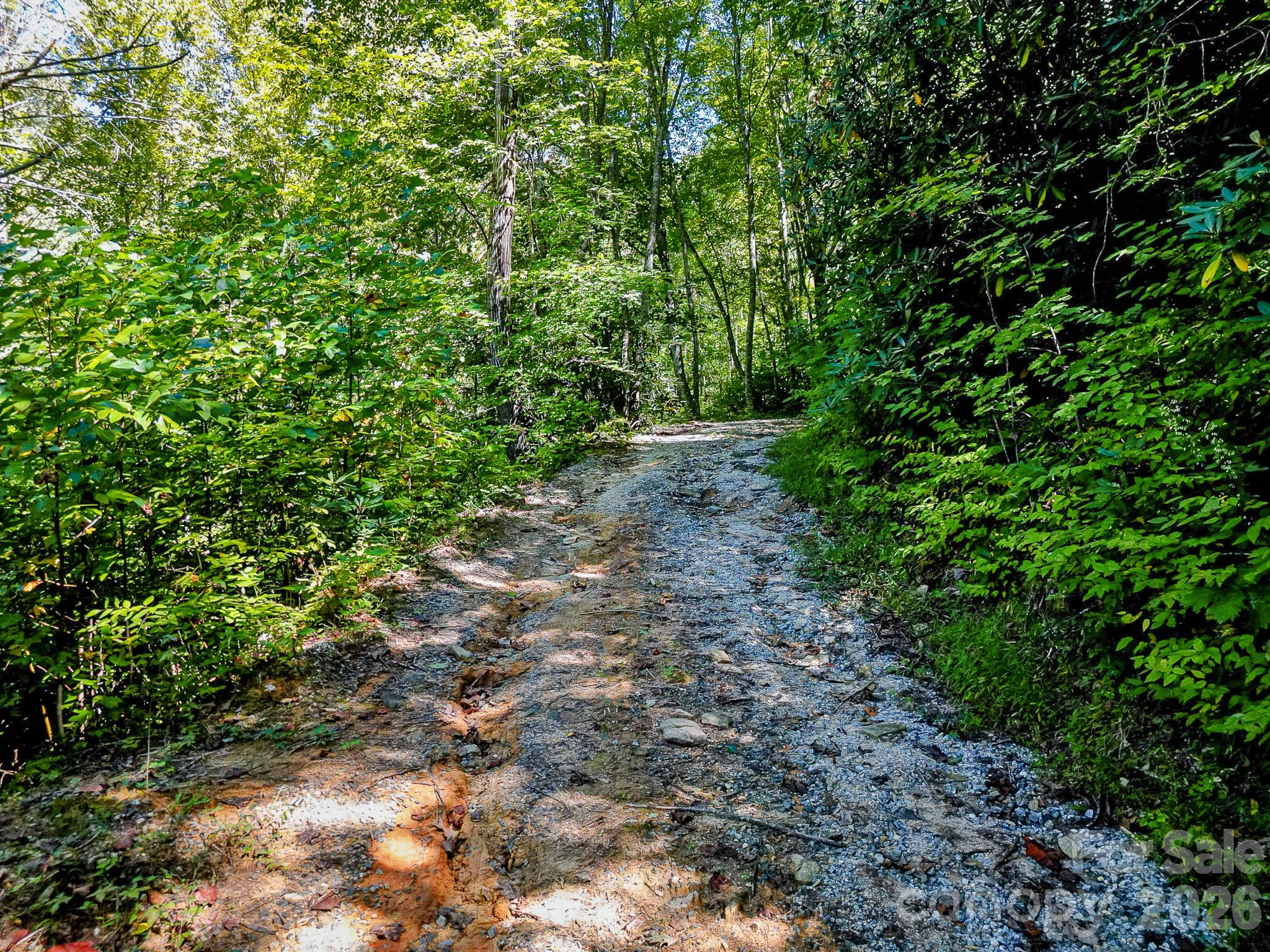 172 Rocky Top Ridge Drive Property Photo 8