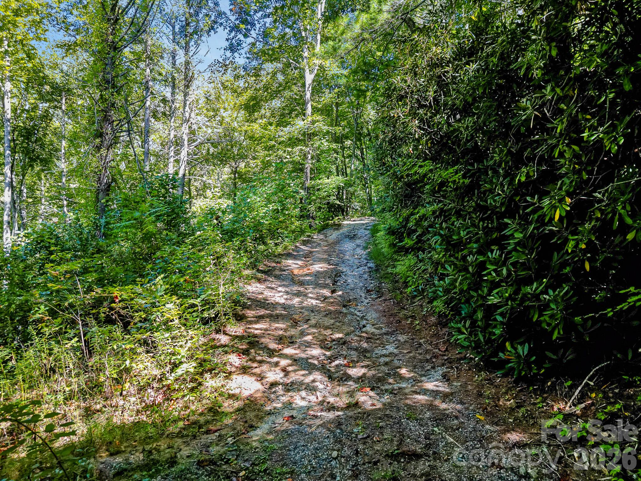172 Rocky Top Ridge Drive Property Photo 9