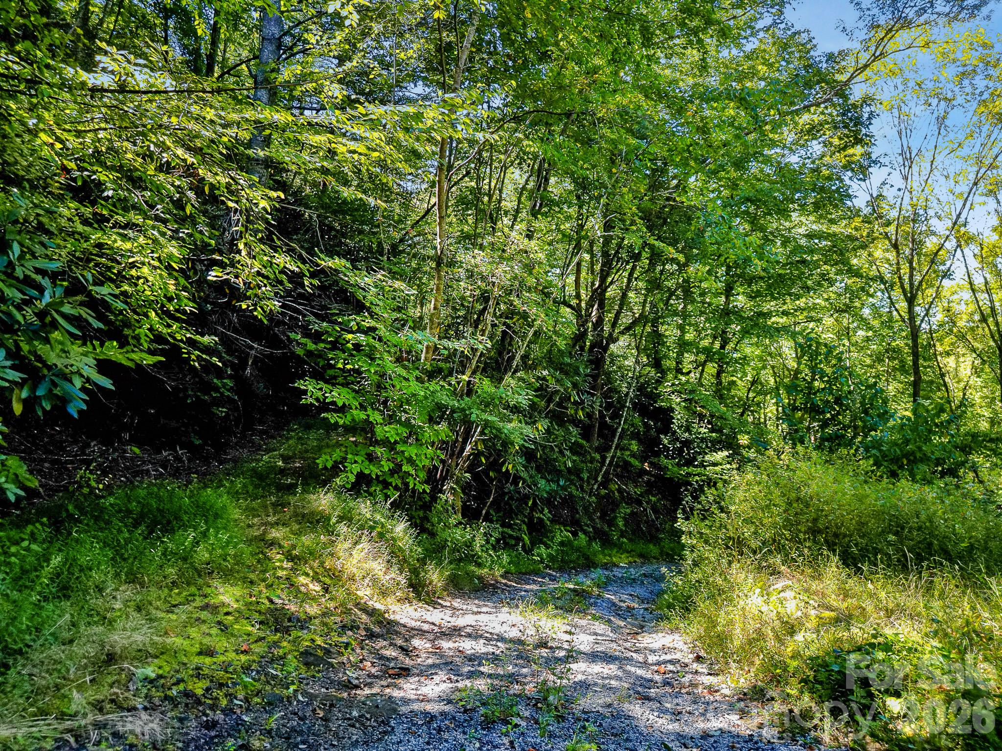 172 Rocky Top Ridge Drive Property Photo 10