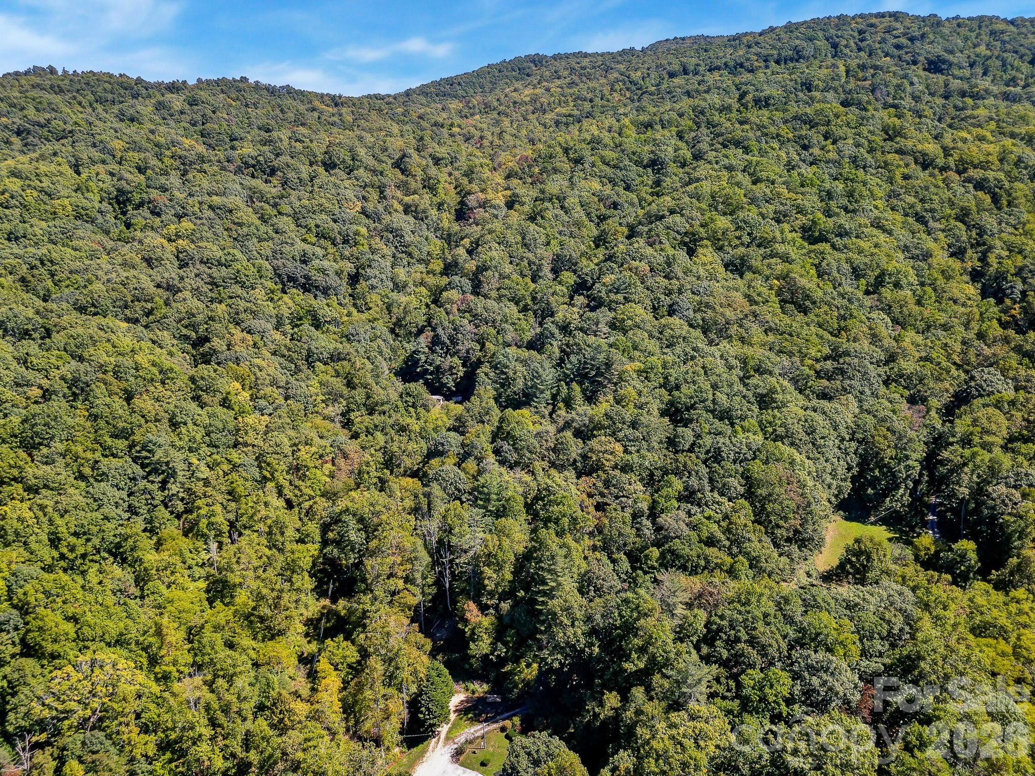 172 Rocky Top Ridge Drive Property Photo 13