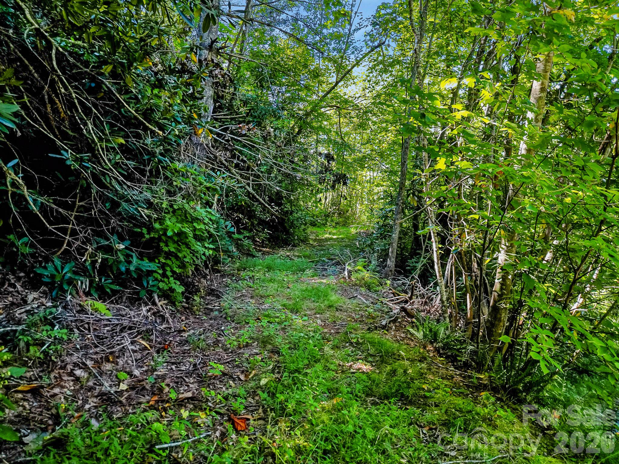 172 Rocky Top Ridge Drive Property Photo 15