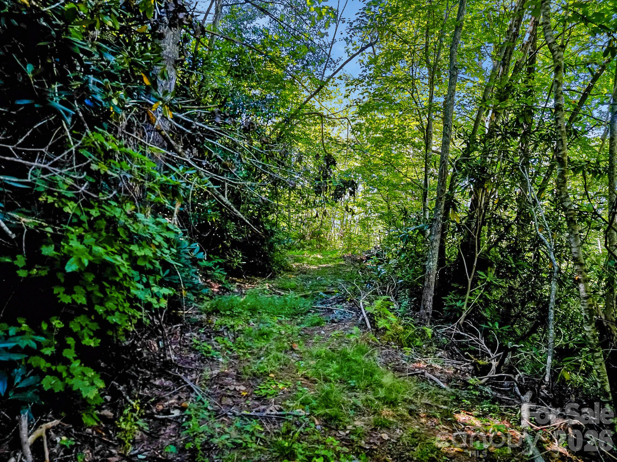 172 Rocky Top Ridge Drive Property Photo 26