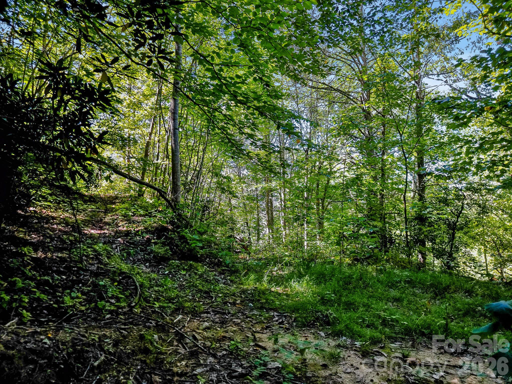 172 Rocky Top Ridge Drive Property Photo 27