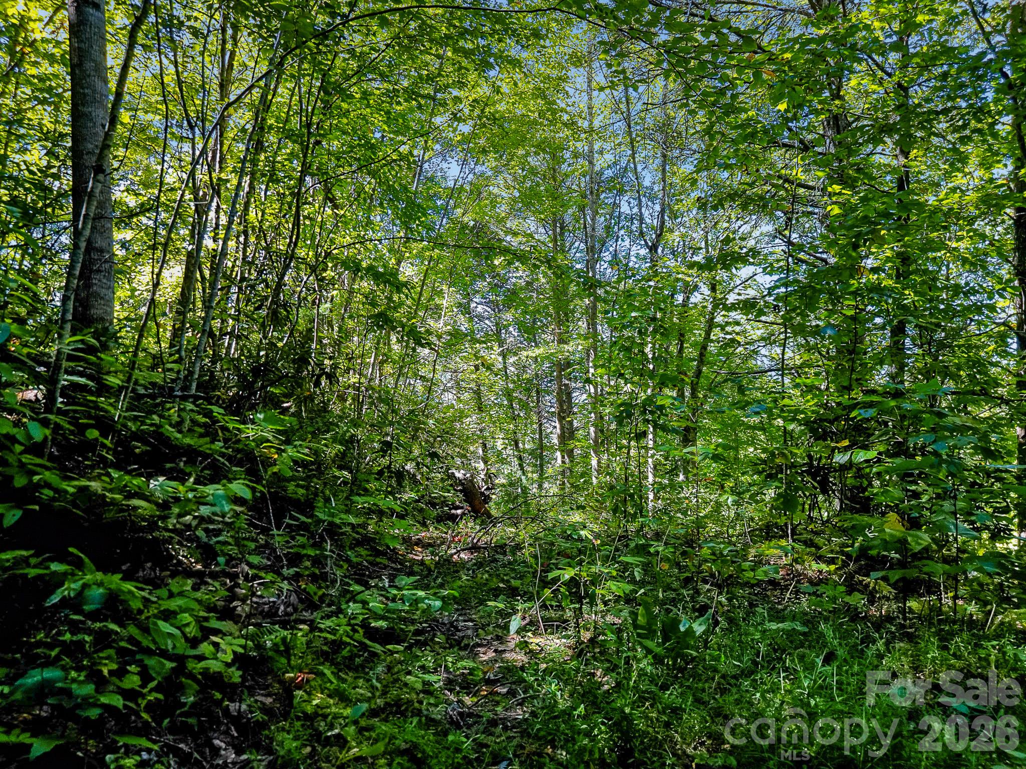 172 Rocky Top Ridge Drive Property Photo 29