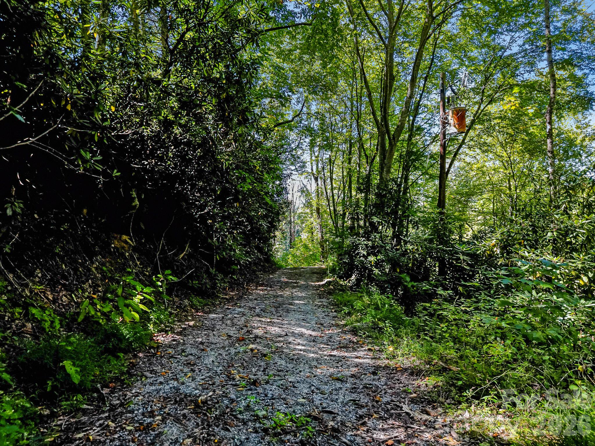 172 Rocky Top Ridge Drive Property Photo 32
