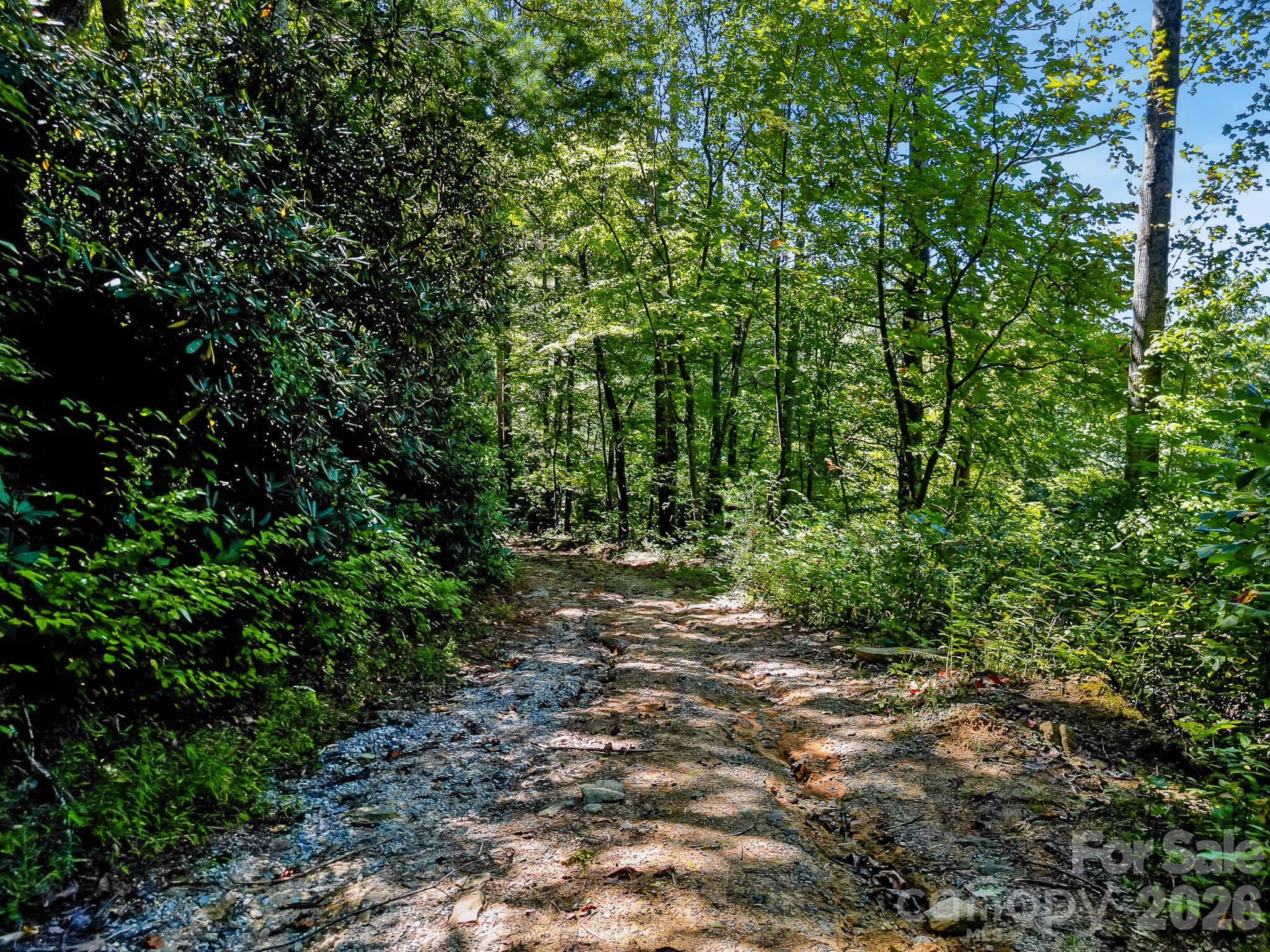 172 Rocky Top Ridge Drive Property Photo 33