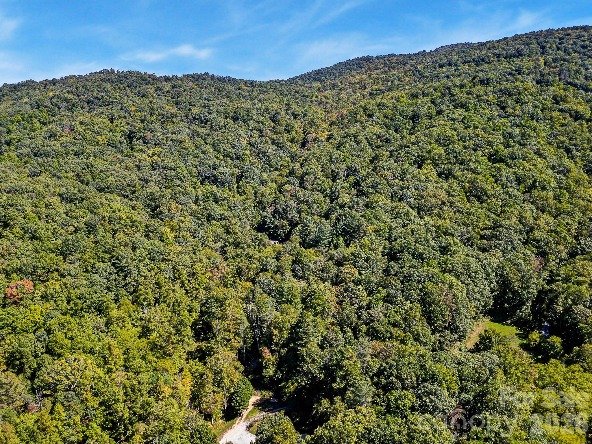 172 Rocky Top Ridge Drive Property Photo 37