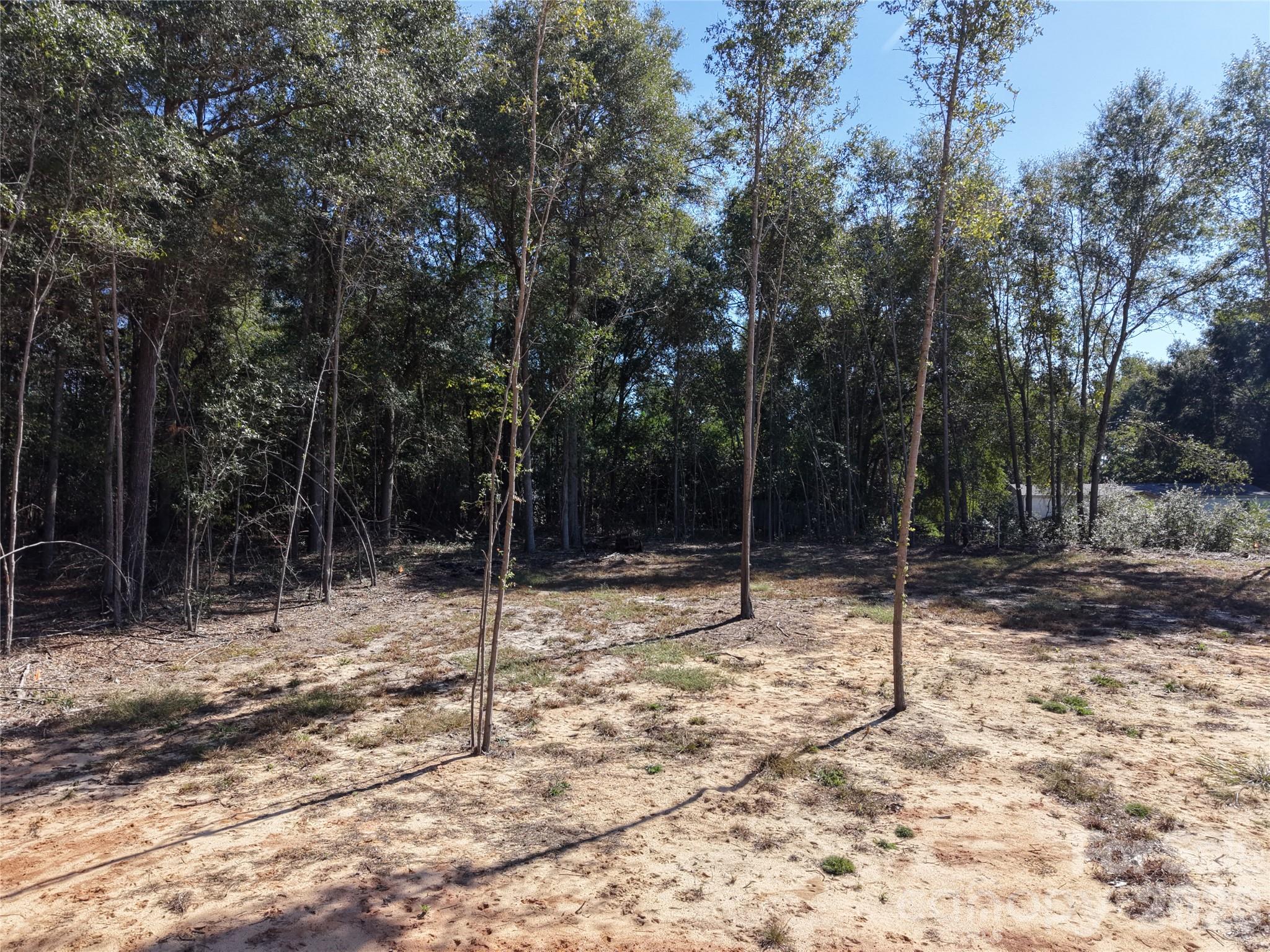 Tbd Robinson Bridge Road B Property Photo 17