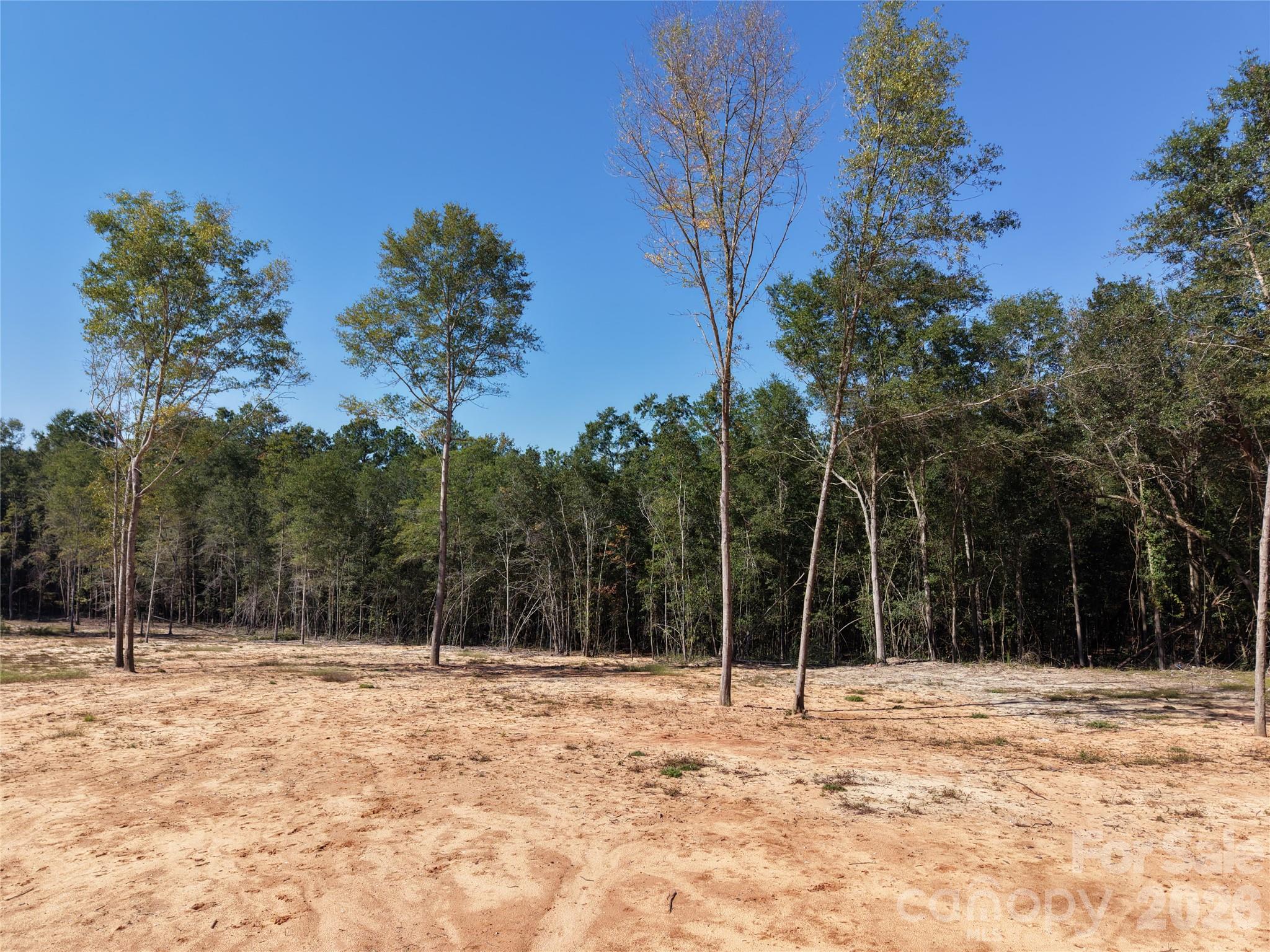 Tbd Robinson Bridge Road B Property Photo 18