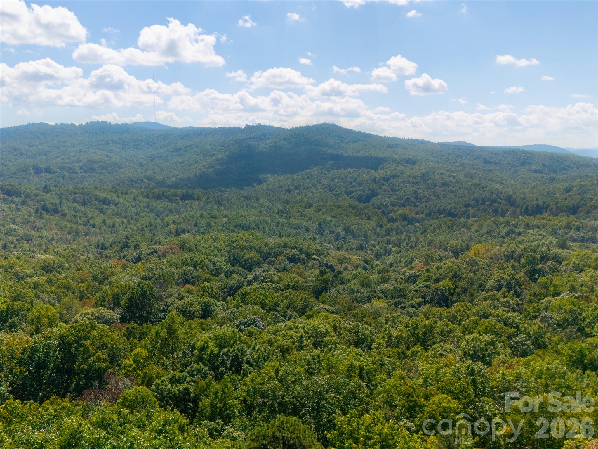 172 Clock Crest Drive Property Photo 4