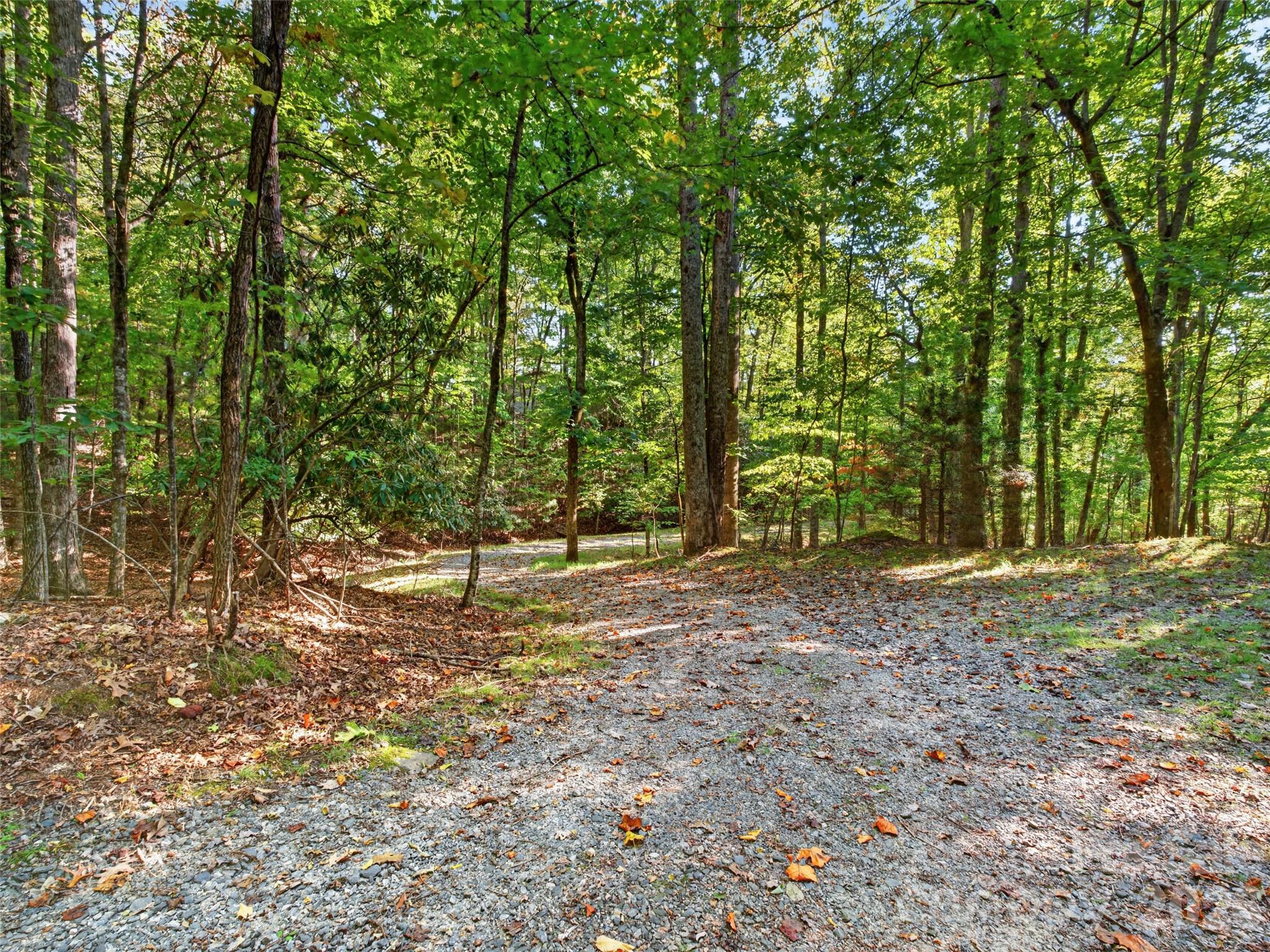 172 Clock Crest Drive Property Photo 43