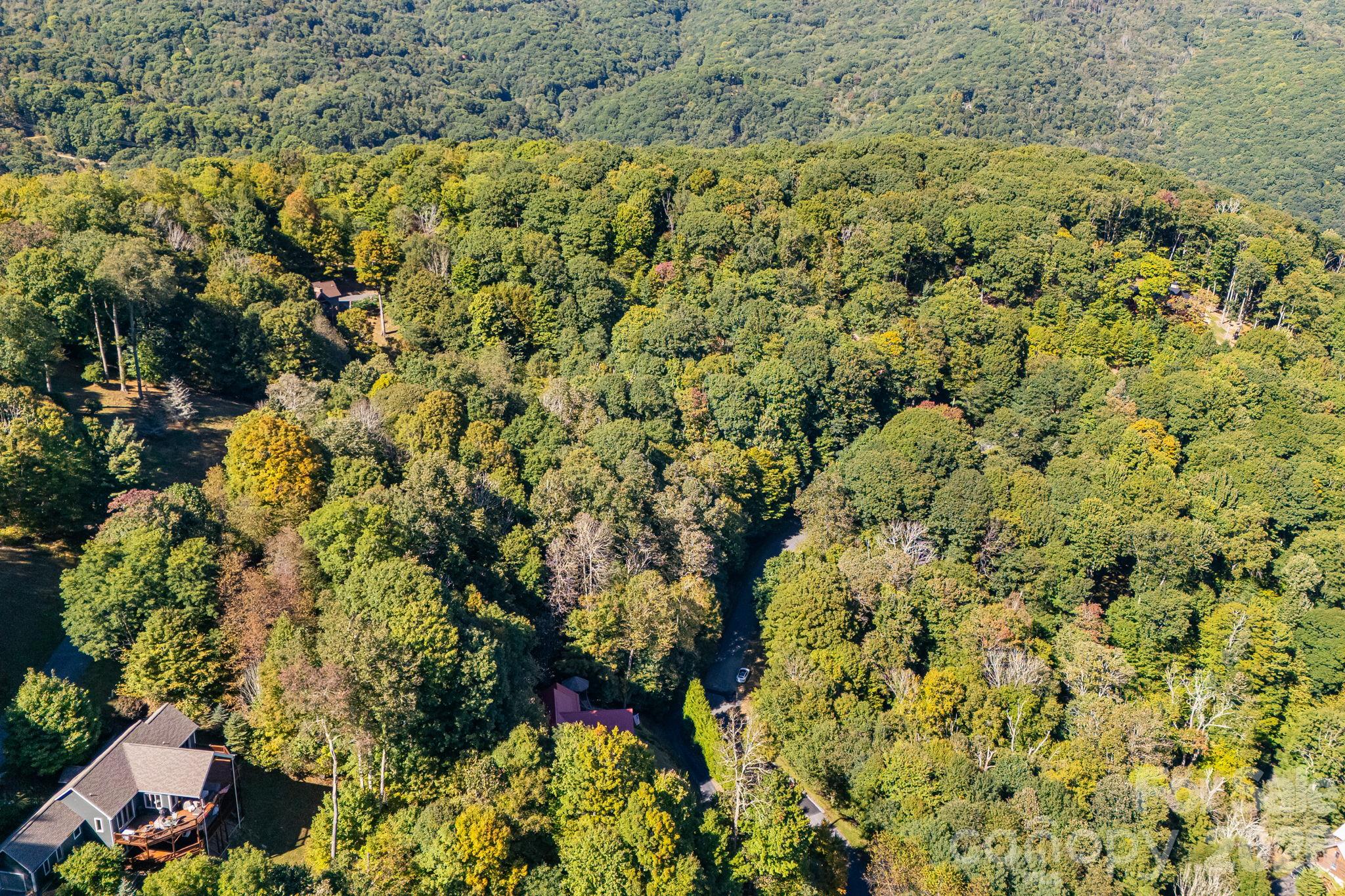 74 Goldenleaf Road Property Photo 12