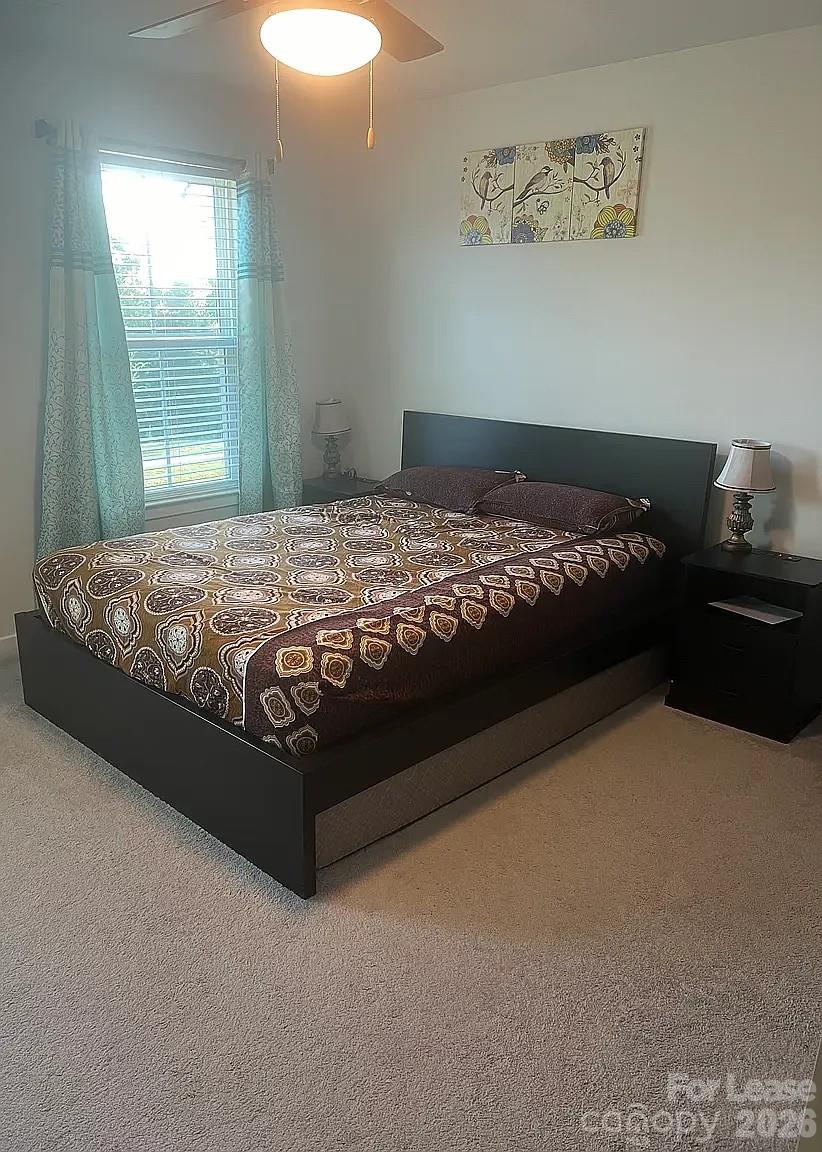 4428682 Property Photo 14