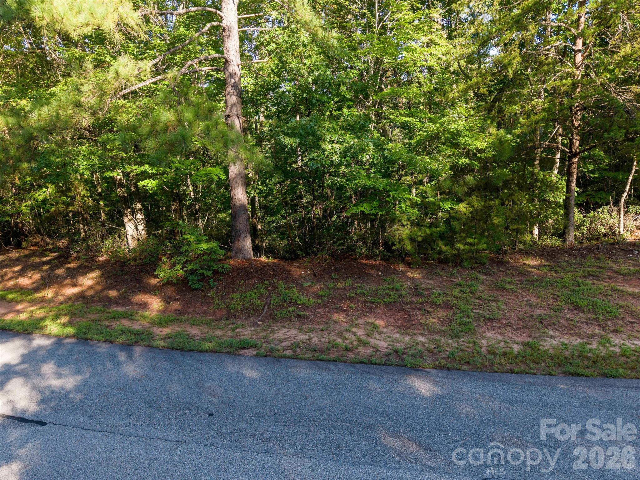 0 Woodward Drive 12 Property Photo 3