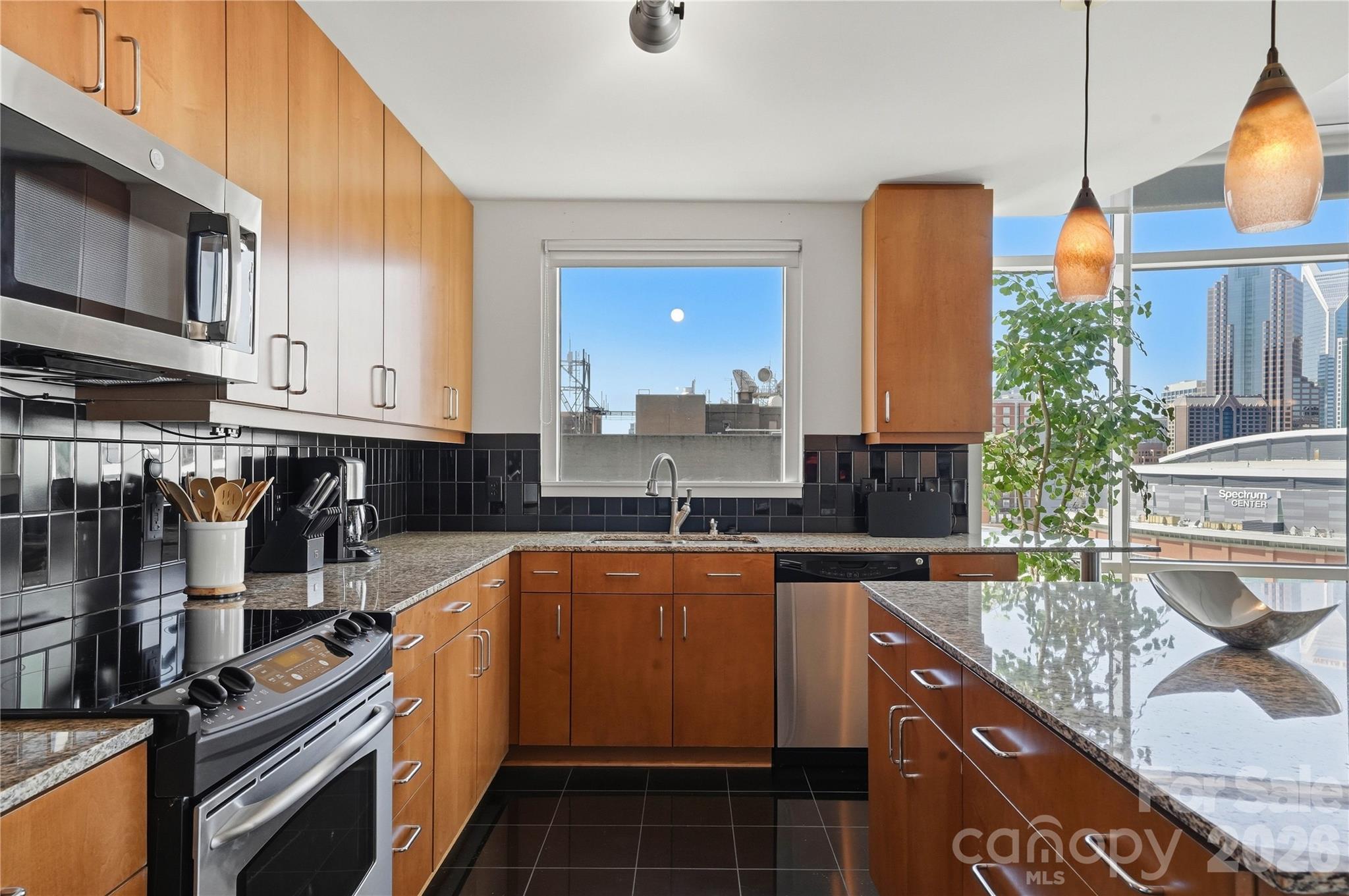 505 E 6th Street 1201 Property Photo 5