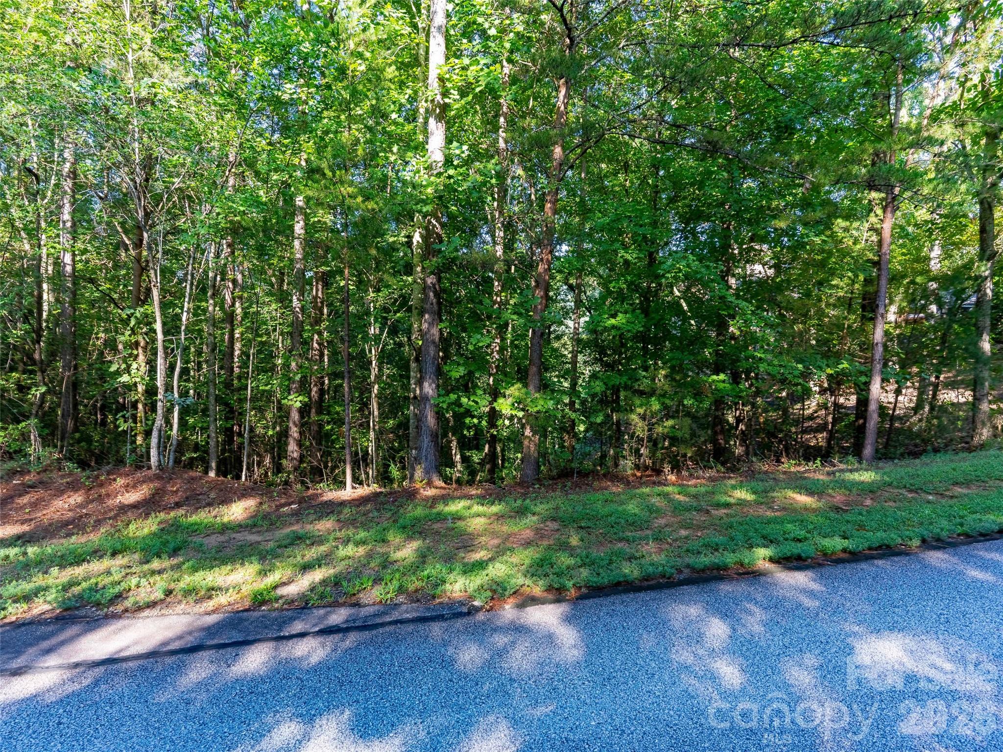 0 Deep Gap Farm Drive 34 Property Photo 1