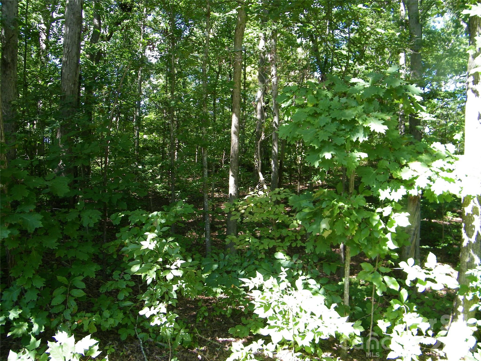 0 Chippewa Trail Property Photo 1