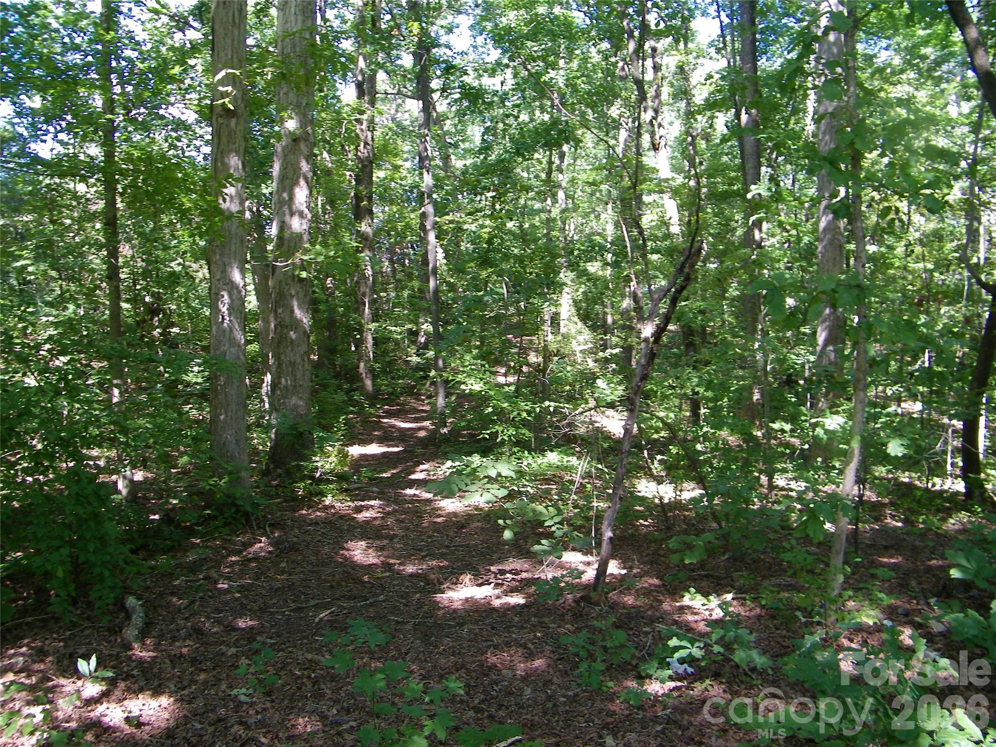 0 Chippewa Trail Property Photo 3