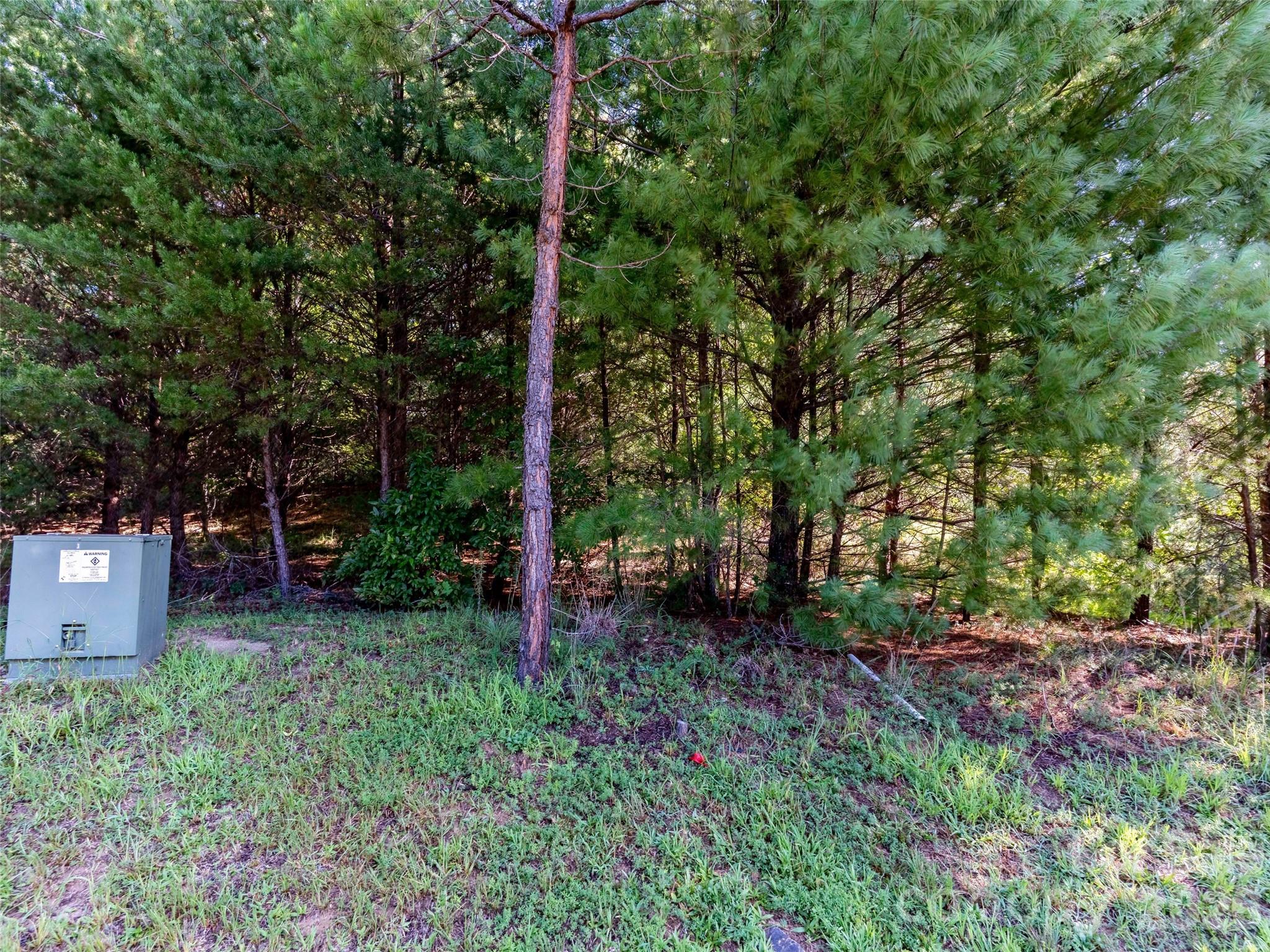 0 Elkton Court 138 Property Photo 2
